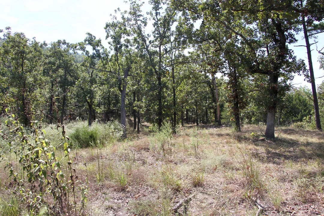 Lakeview Private Reserve Tract 5 photo 15