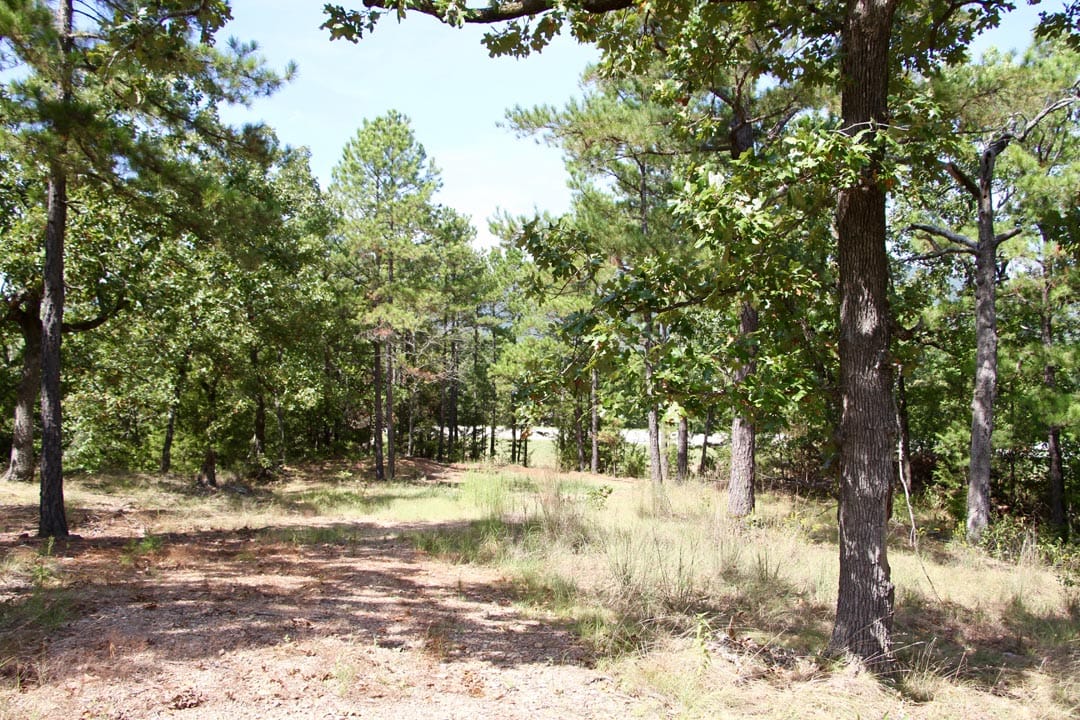 Lakeview Private Reserve Tract 5 photo 16
