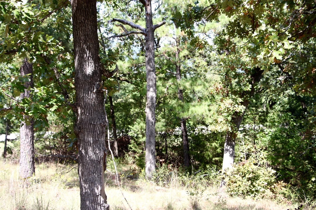 Lakeview Private Reserve Tract 5 photo 17