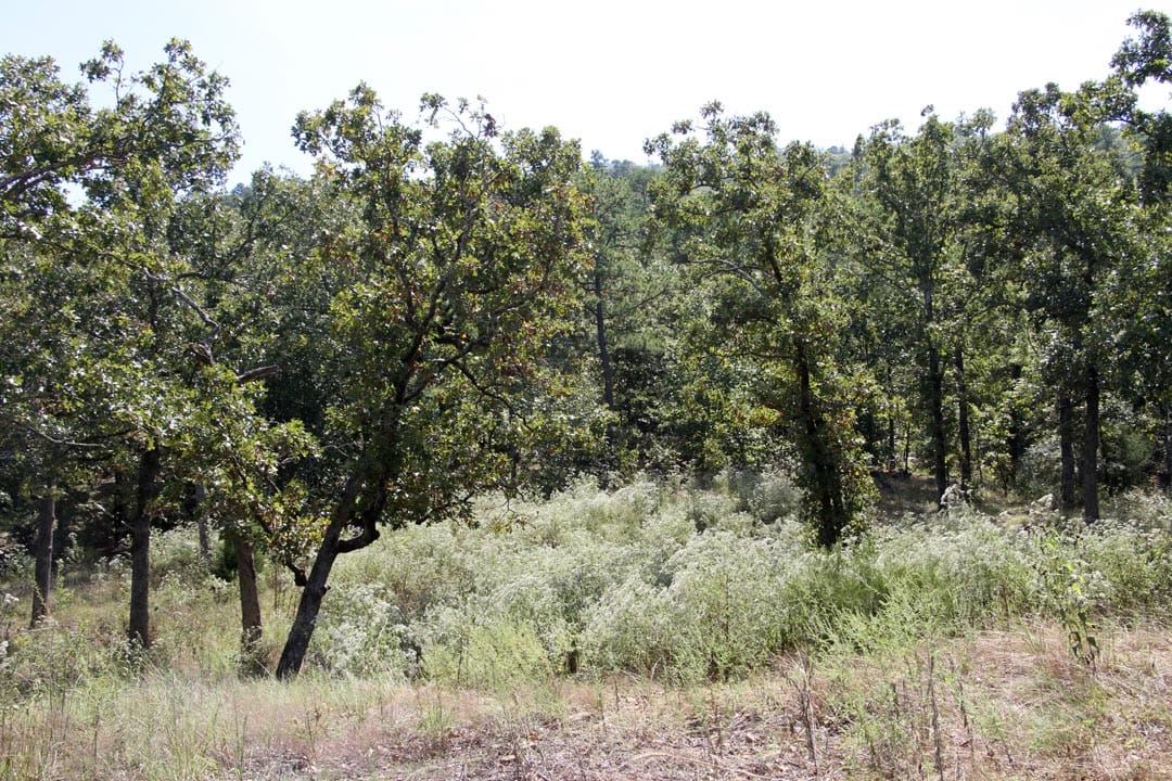 Lakeview Private Reserve Tract 5 photo 18