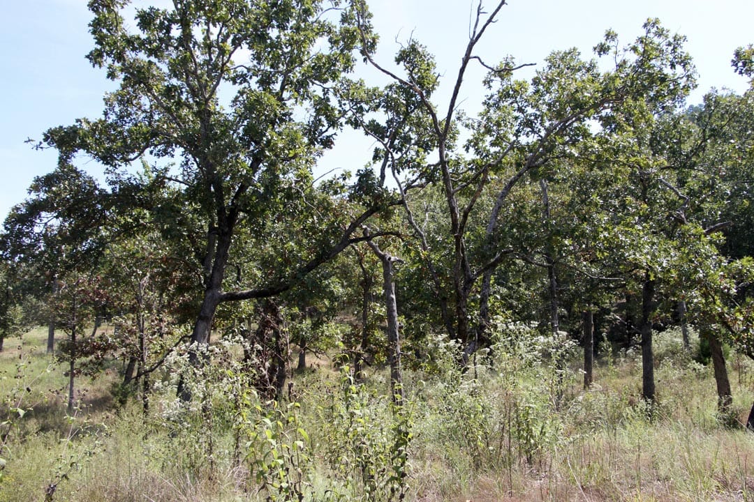 Lakeview Private Reserve Tract 5 photo 19