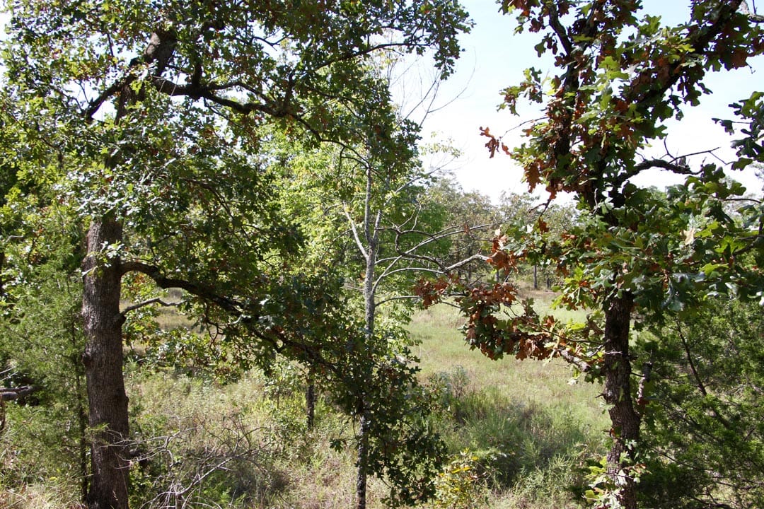 Lakeview Private Reserve Tract 5 photo 20