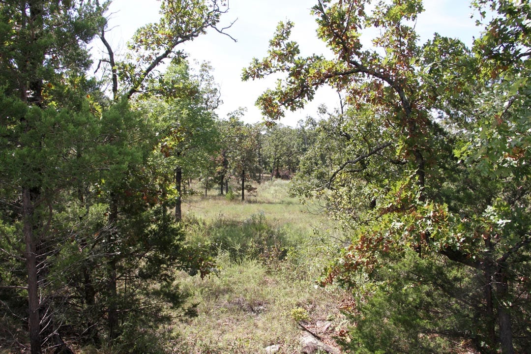 Lakeview Private Reserve Tract 5 photo 21