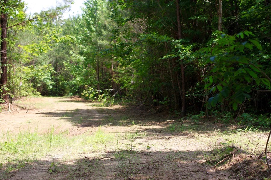 Bluebird Ranch Tract 4 photo 5