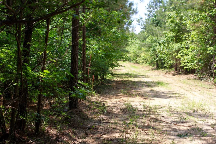 Bluebird Ranch Tract 4 photo 6