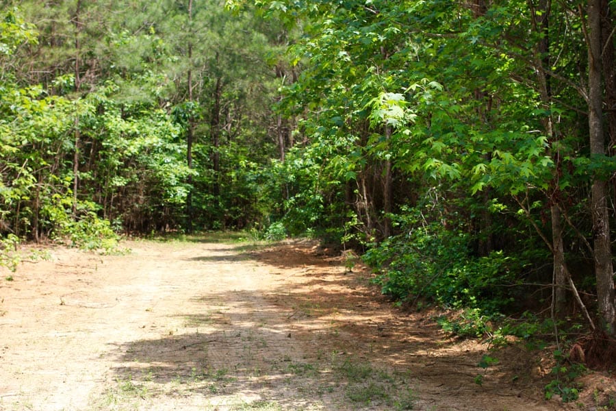 Bluebird Ranch Tract 4 photo 2