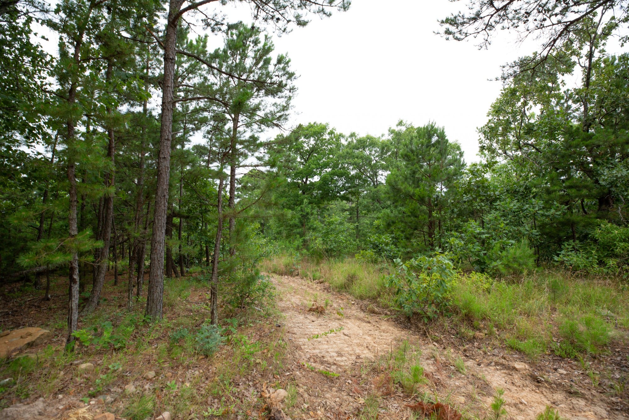 Eagle’s Nest Tract 59 photo 7