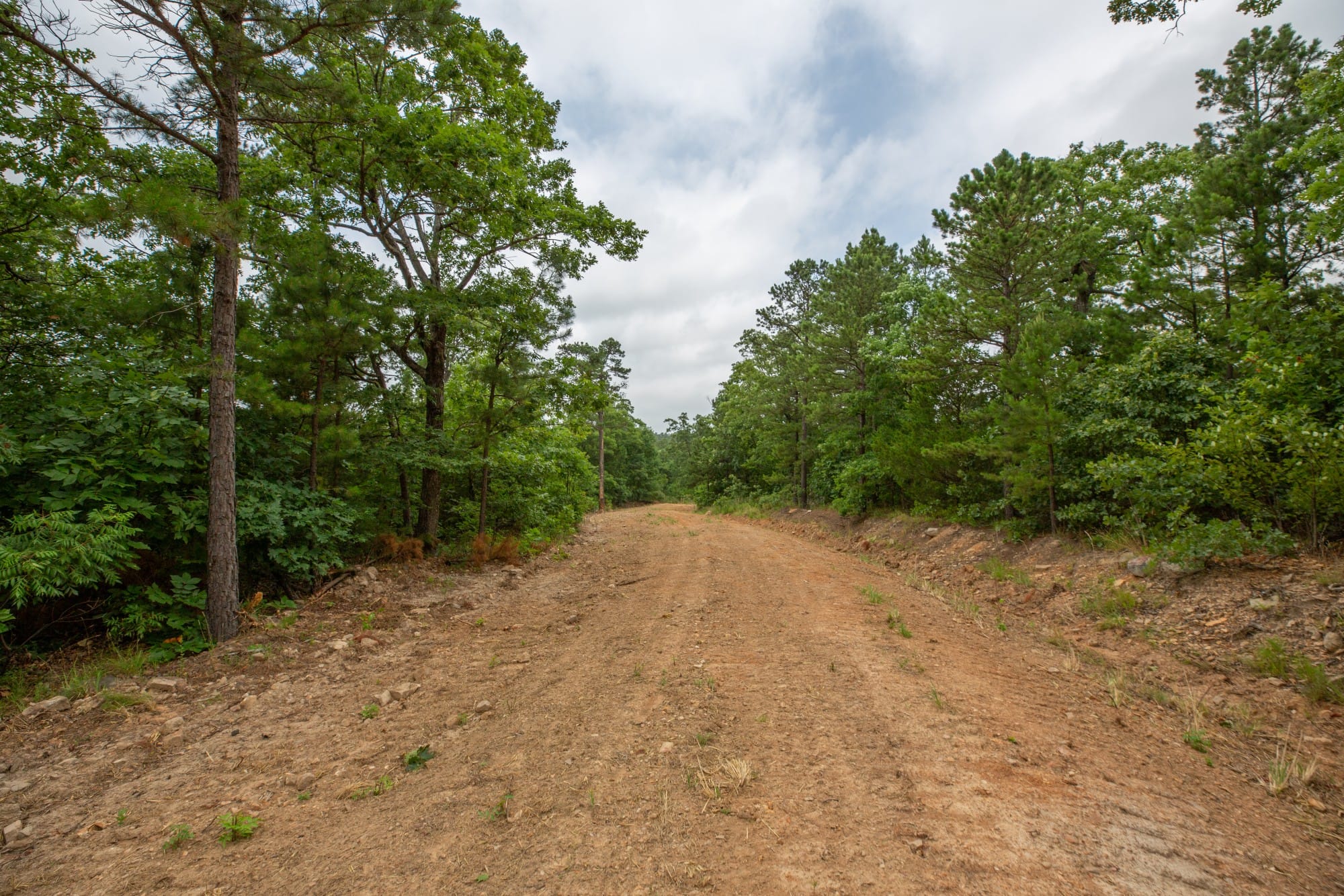 Eagle’s Nest Tract 59 photo 8