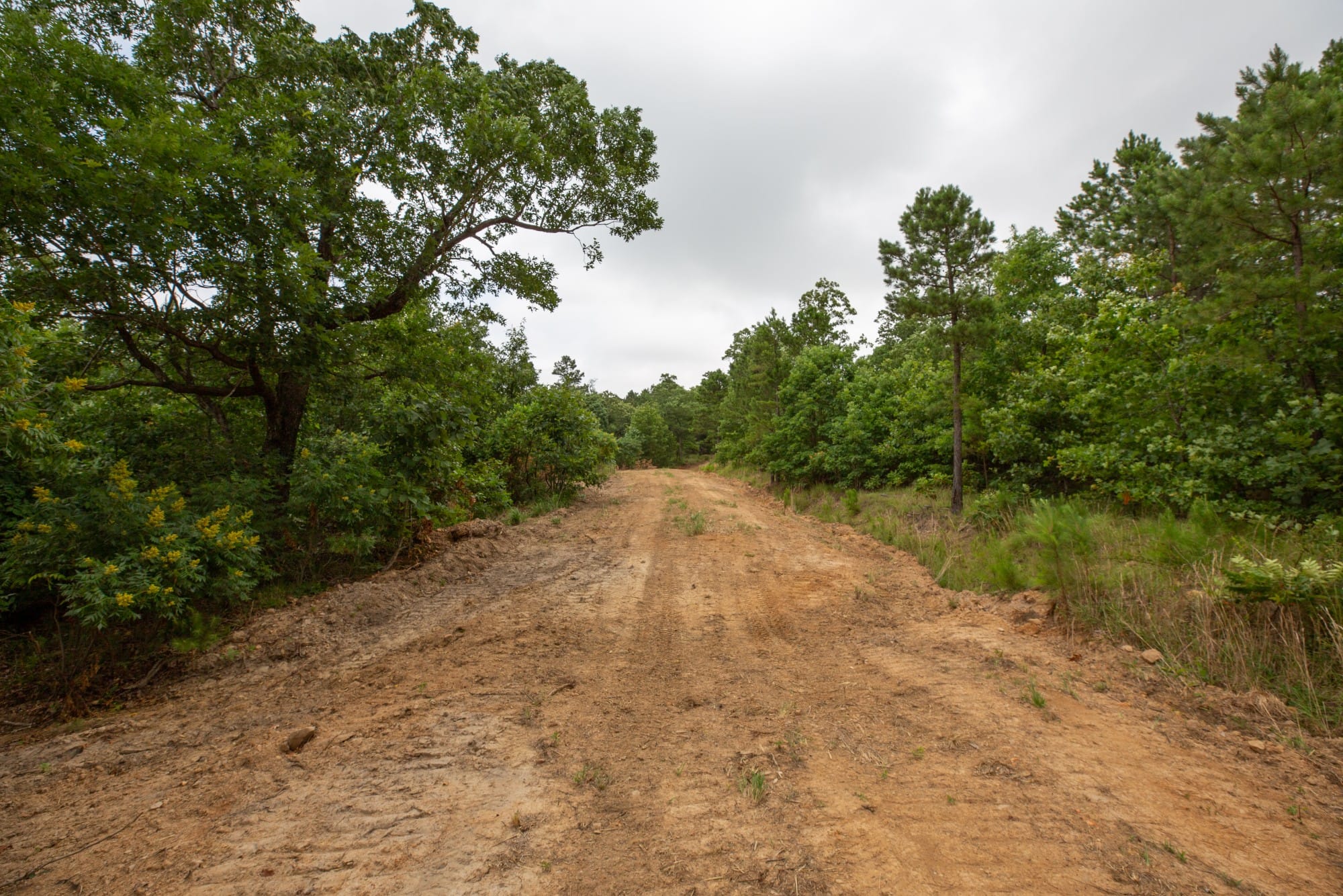 Eagle’s Nest Tract 59 photo 11