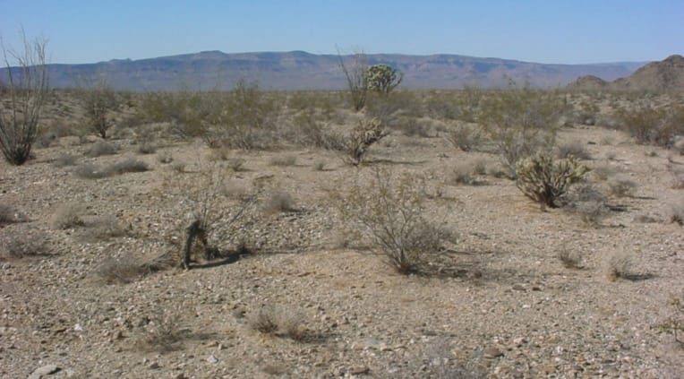 Mohave County Tract 3 photo 6