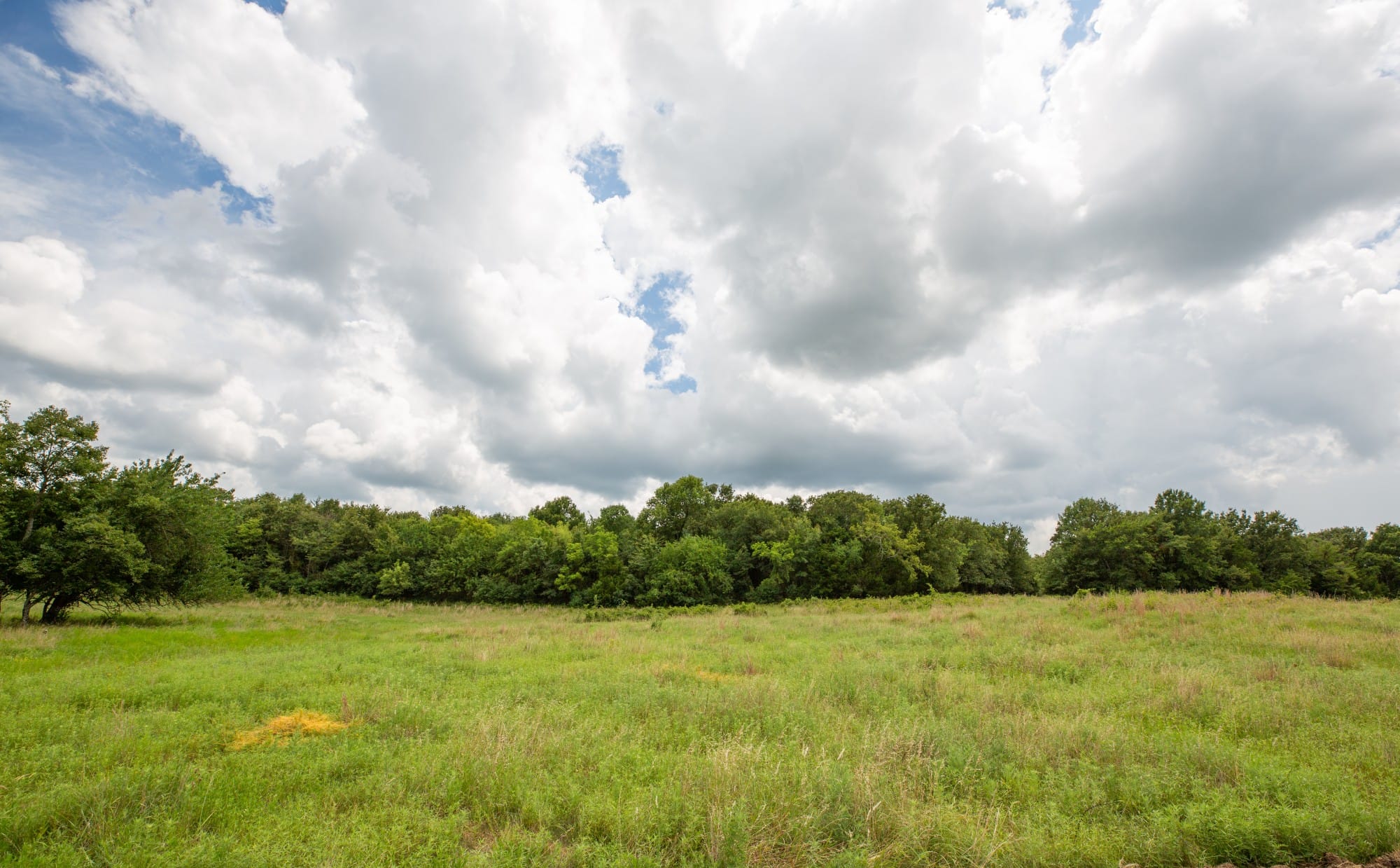 Paradise Valley Tract 16 photo 2