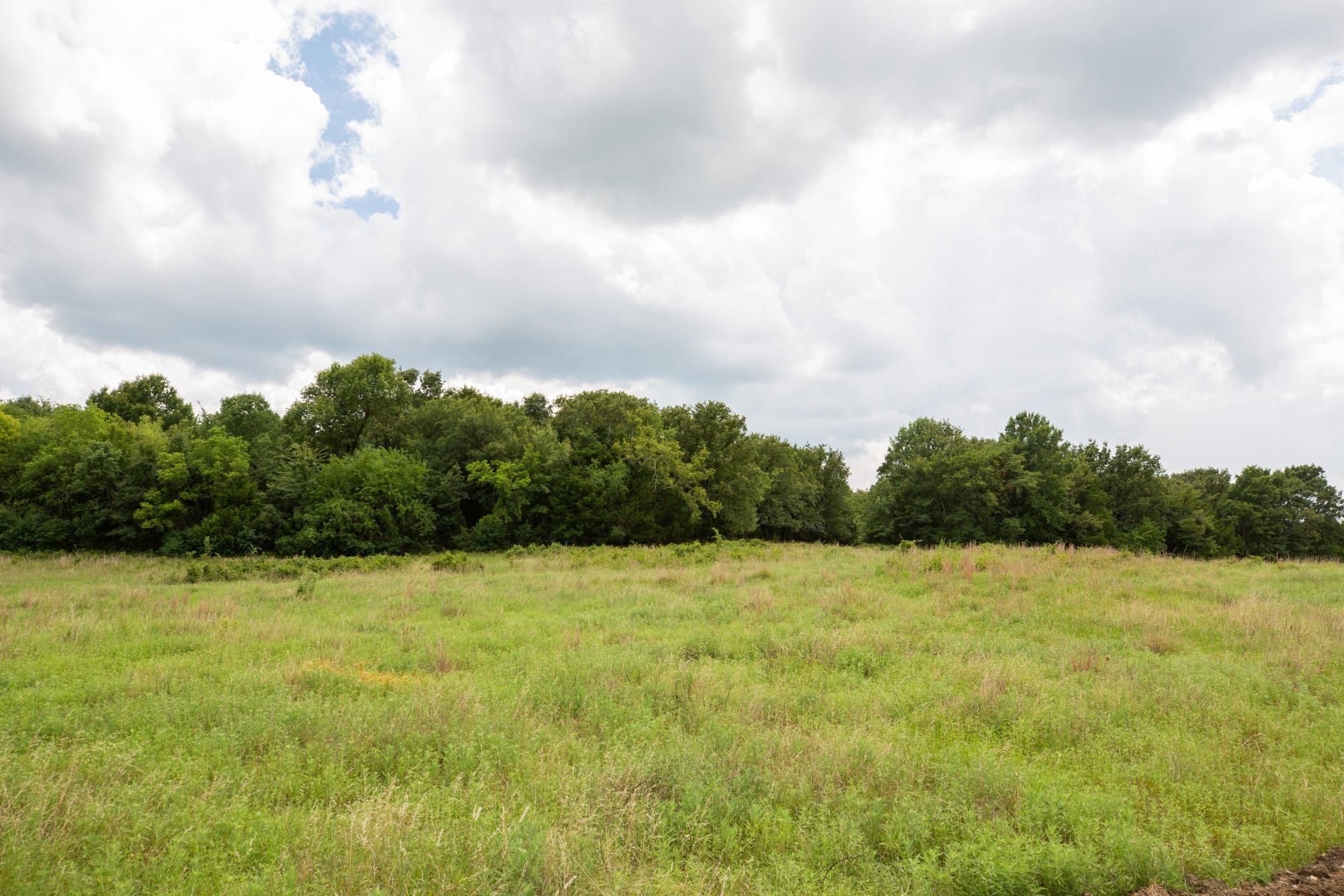 Paradise Valley Tract 16 photo 3