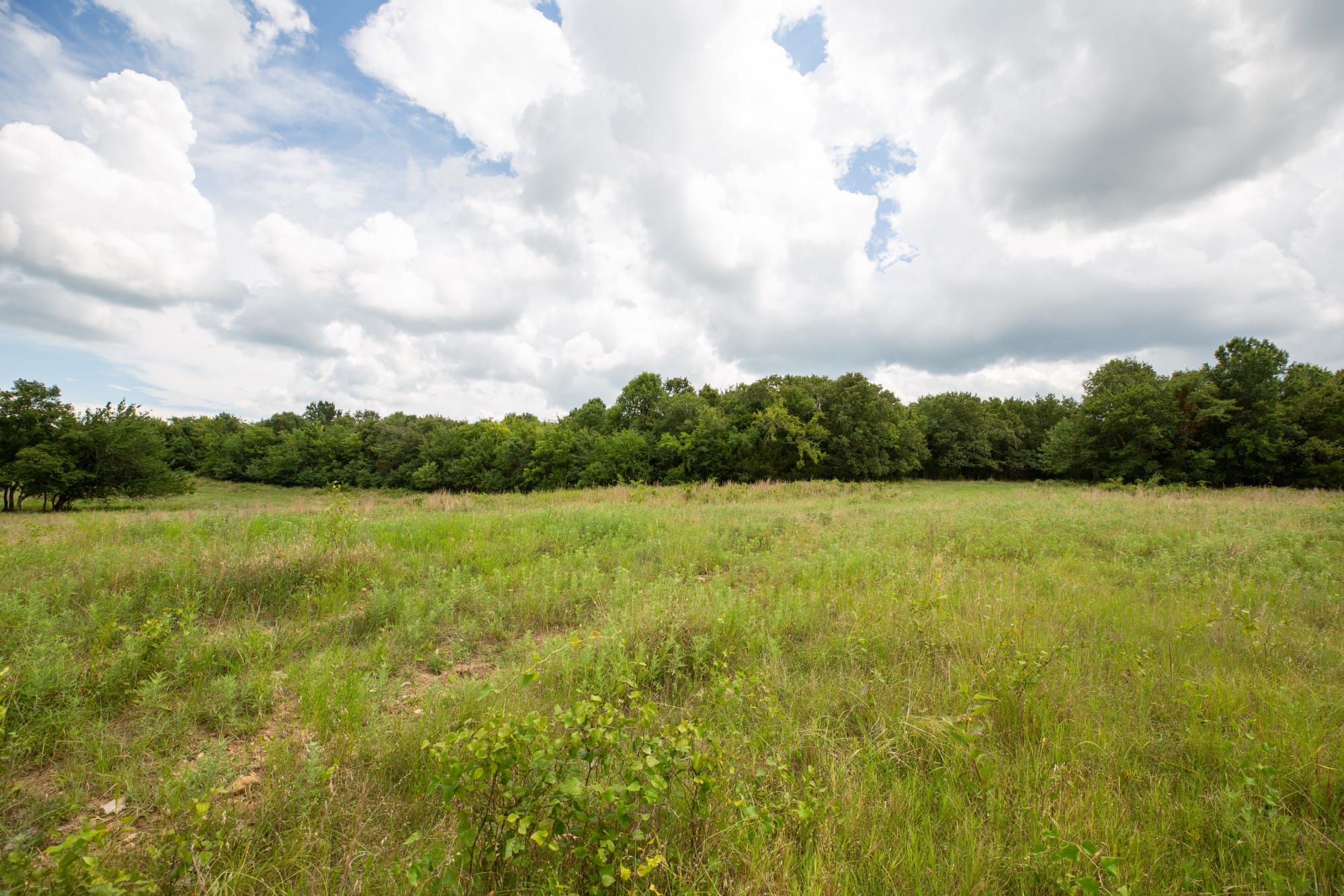 Paradise Valley Tract 16 photo 4