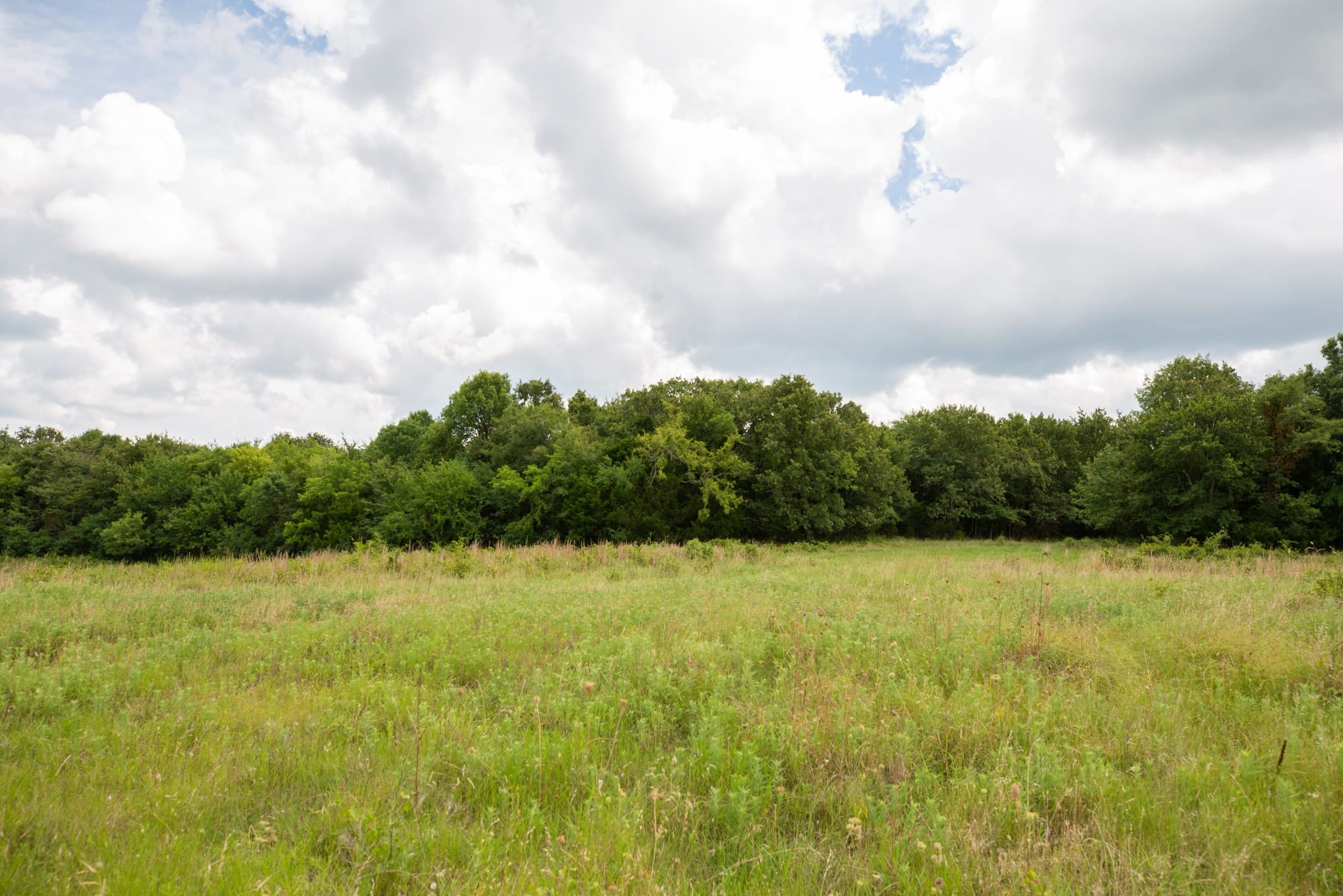 Paradise Valley Tract 16 photo 5