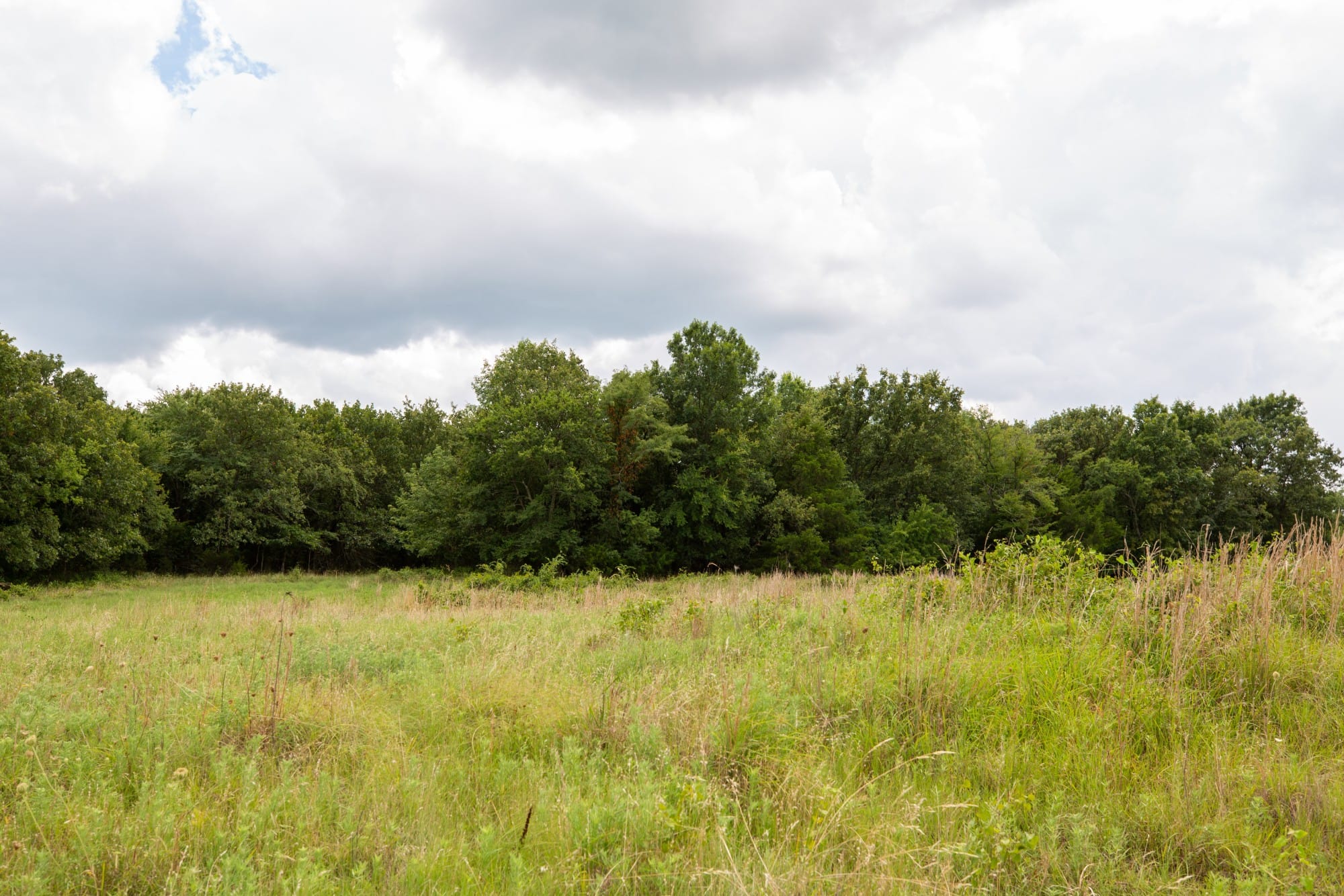 Paradise Valley Tract 16 photo 7