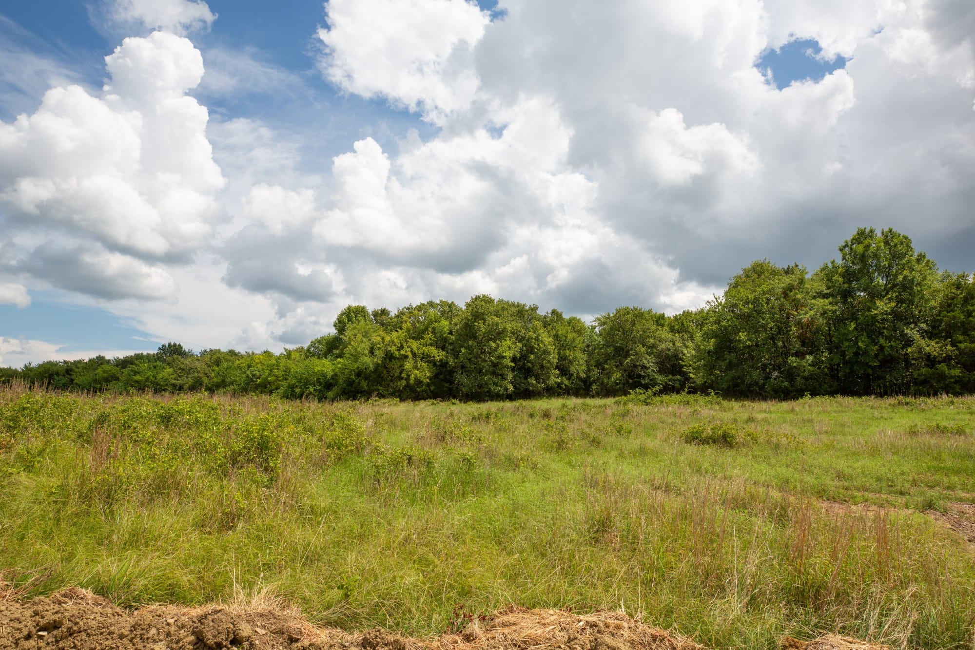 Paradise Valley Tract 16 photo 9