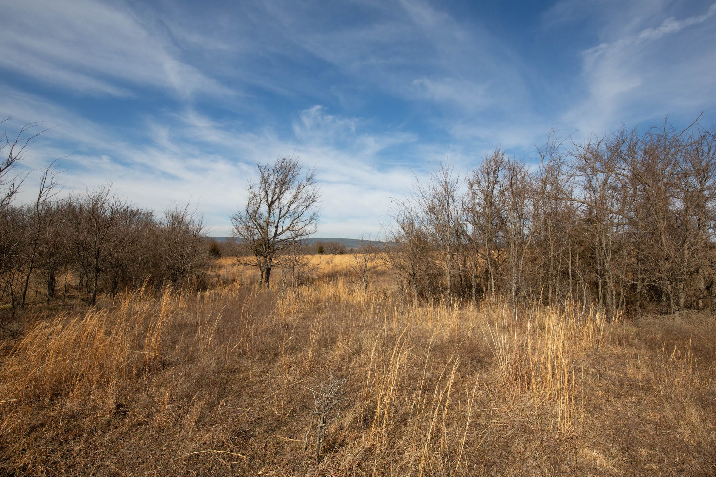 Painted Horse Tract 27 photo 2