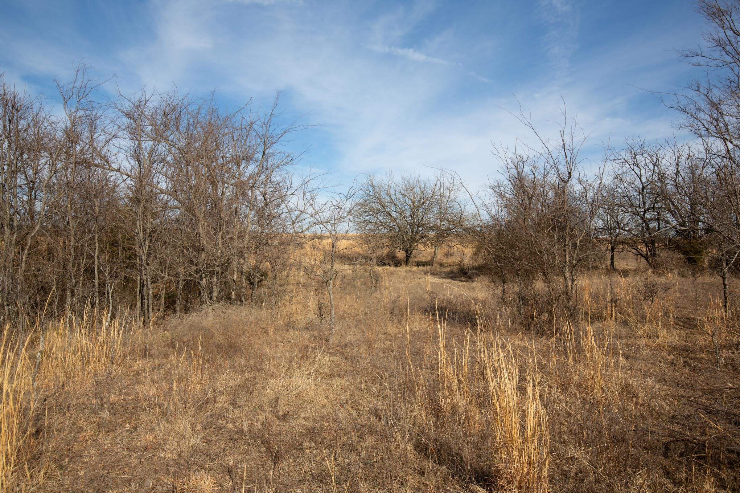 Painted Horse Tract 27 photo 5
