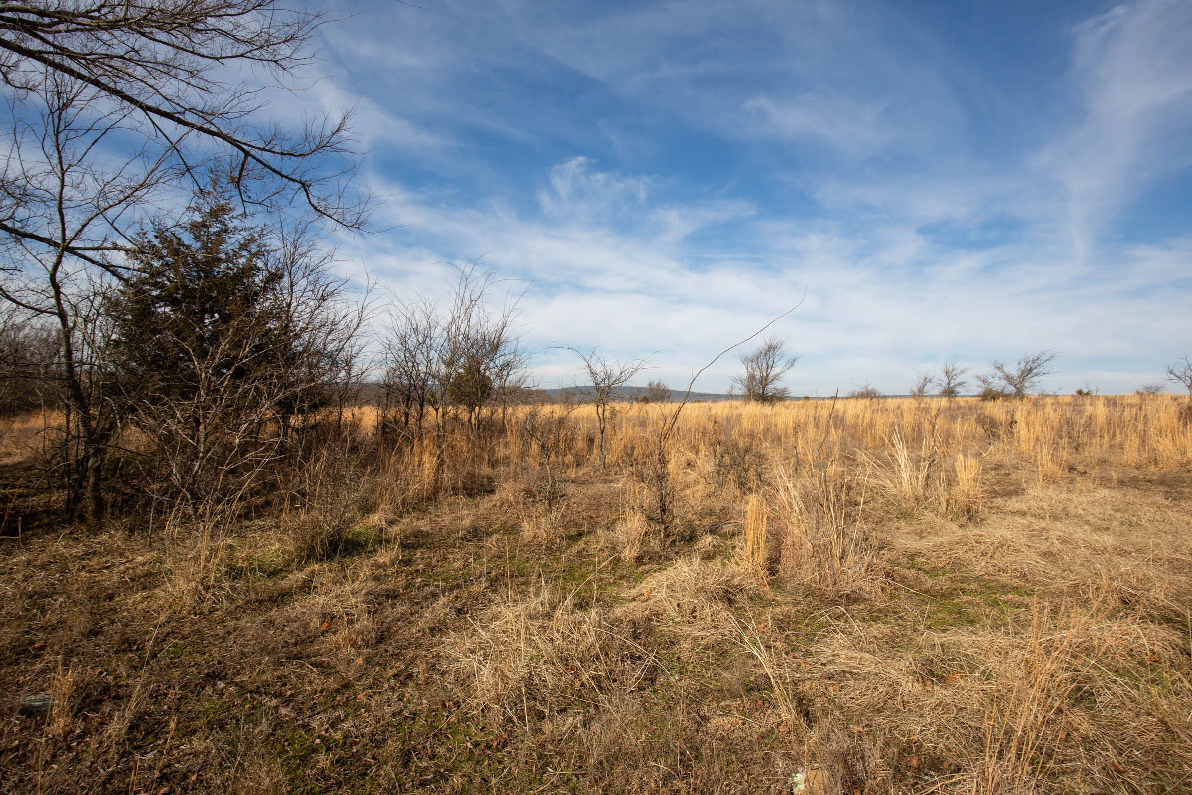 Painted Horse Tract 27 photo 3