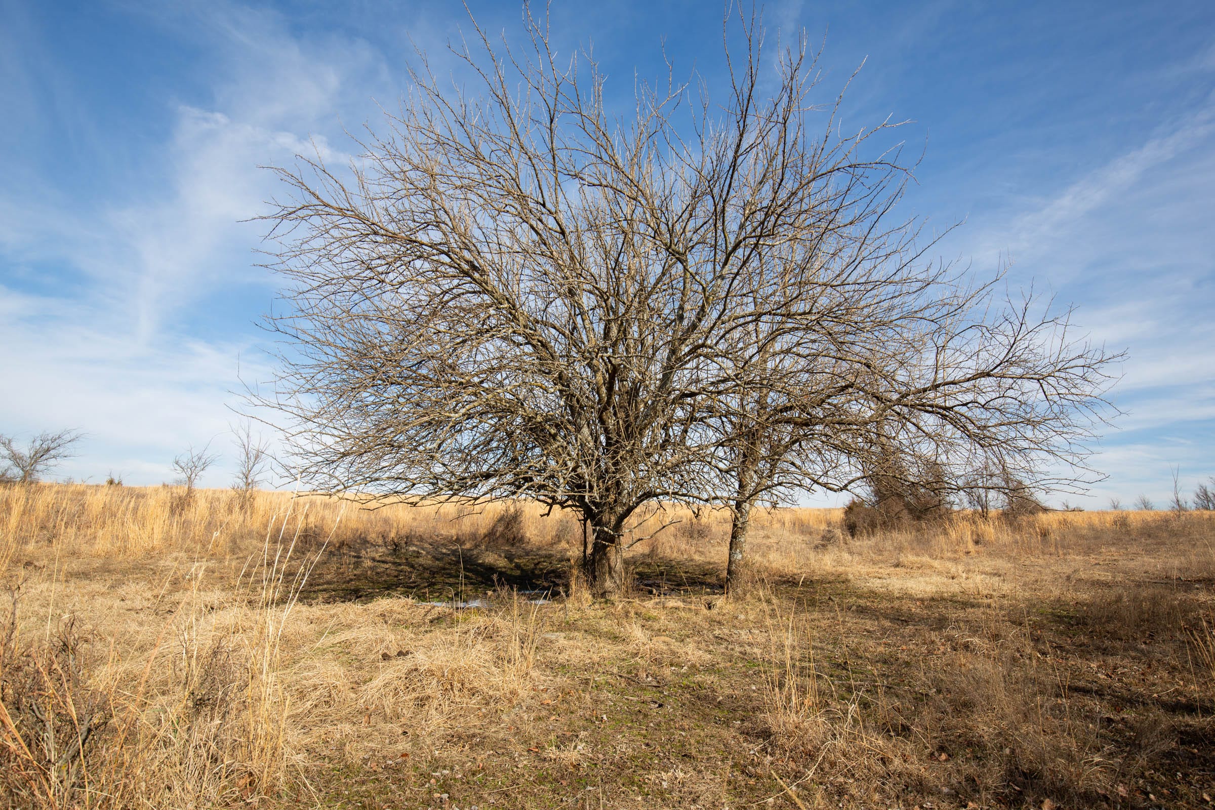 Painted Horse Tract 27 photo 4