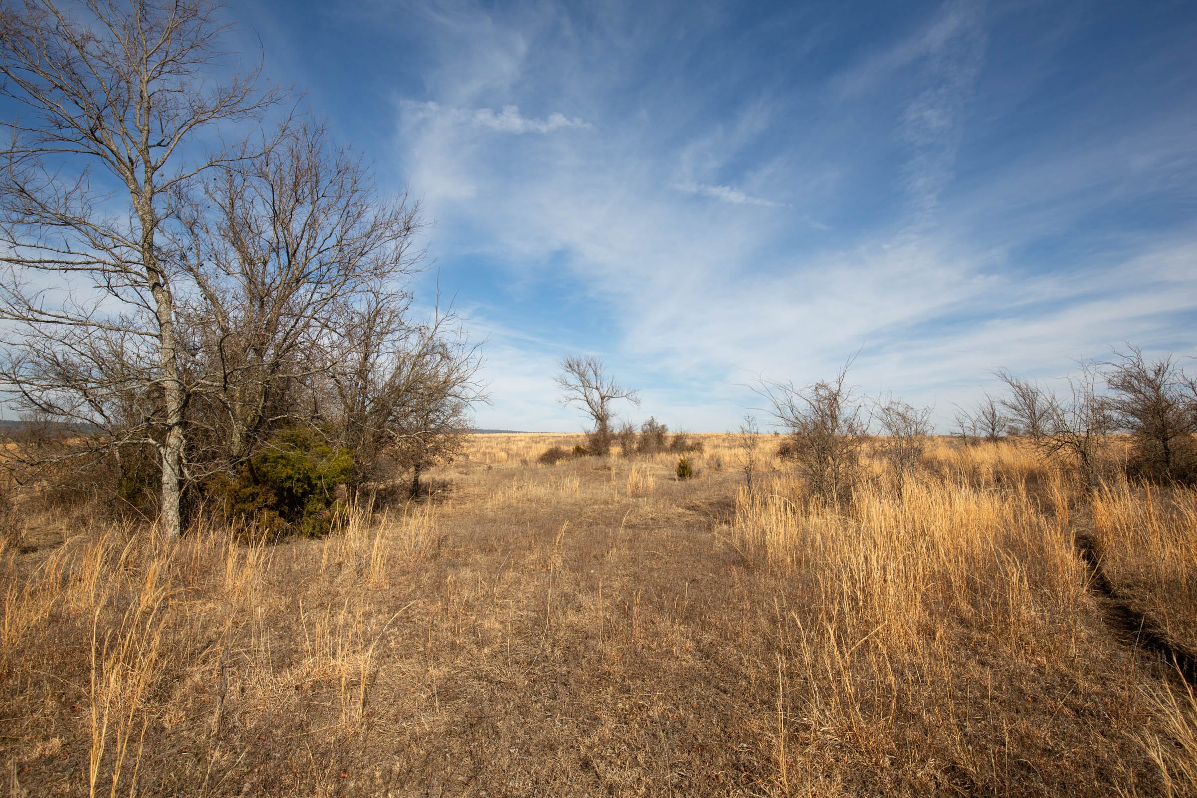 Painted Horse Tract 27 photo 7