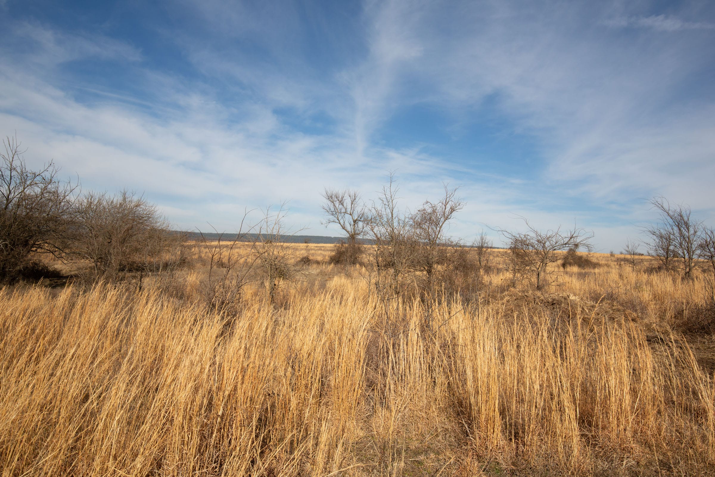 Painted Horse Tract 27 photo 9