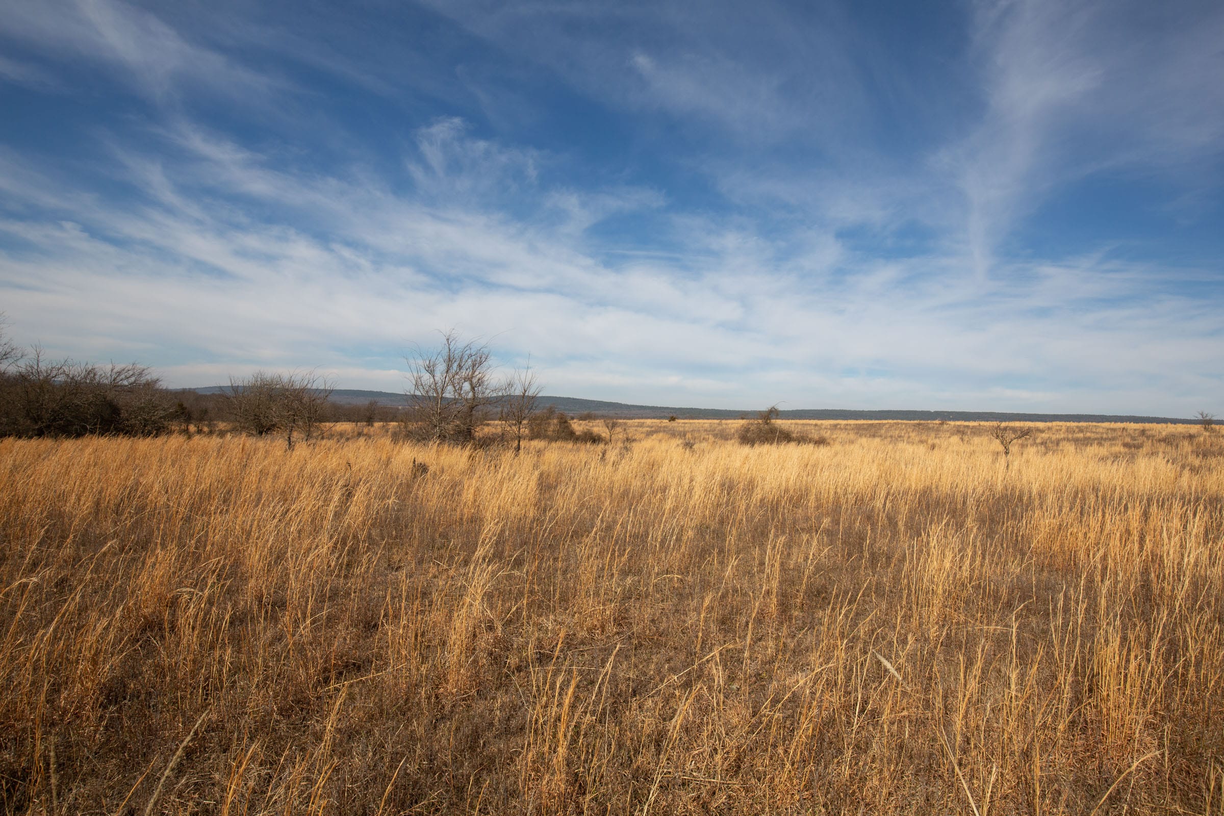Painted Horse Tract 27 photo 11