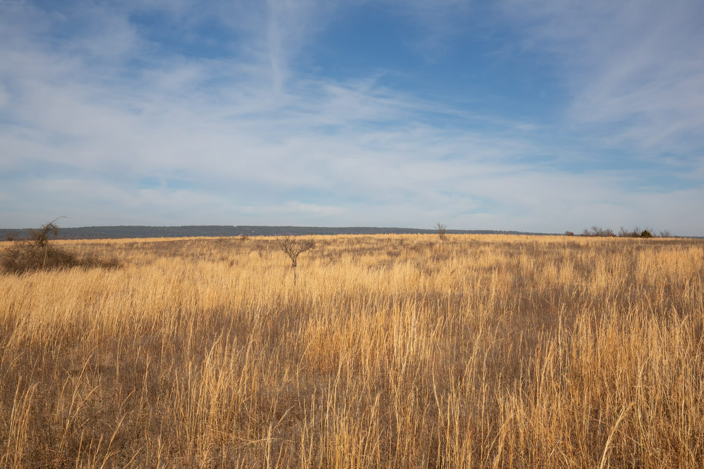 Painted Horse Tract 27 photo 10