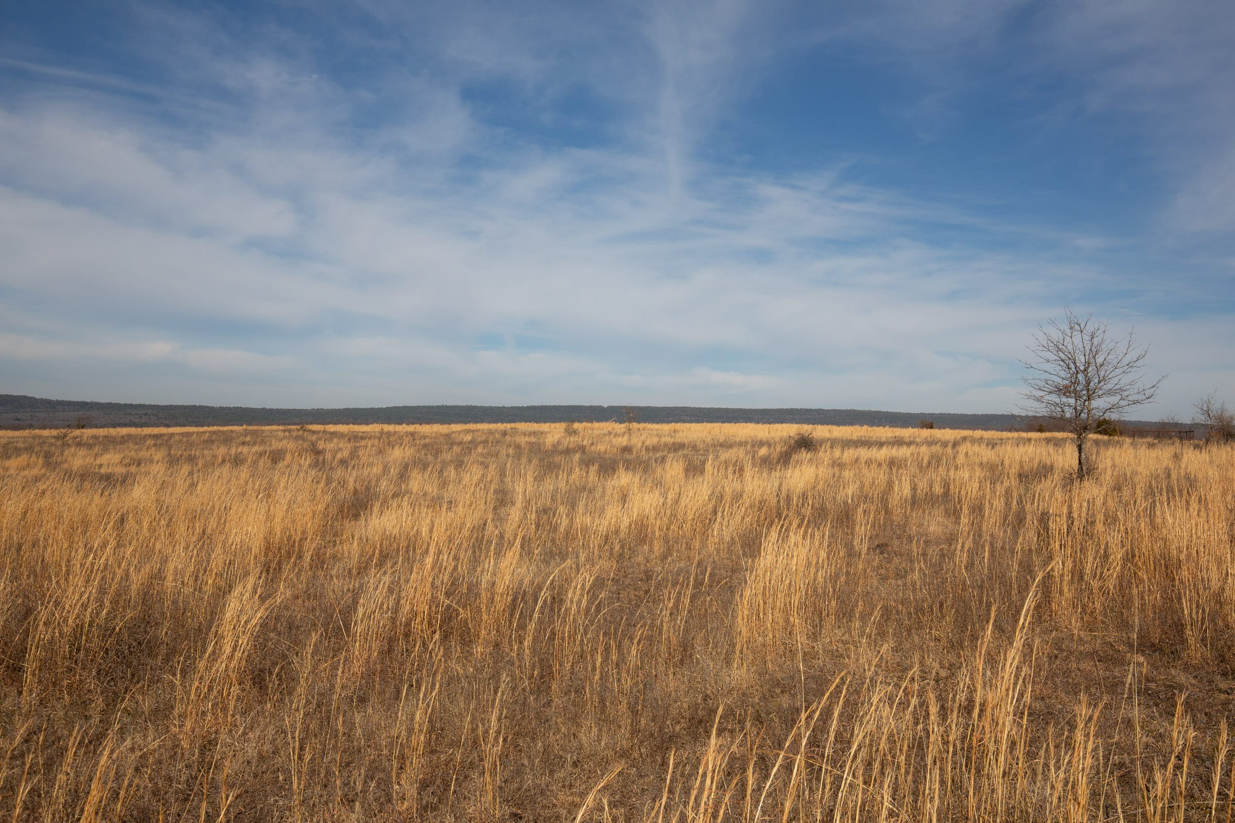Painted Horse Tract 27 photo 12