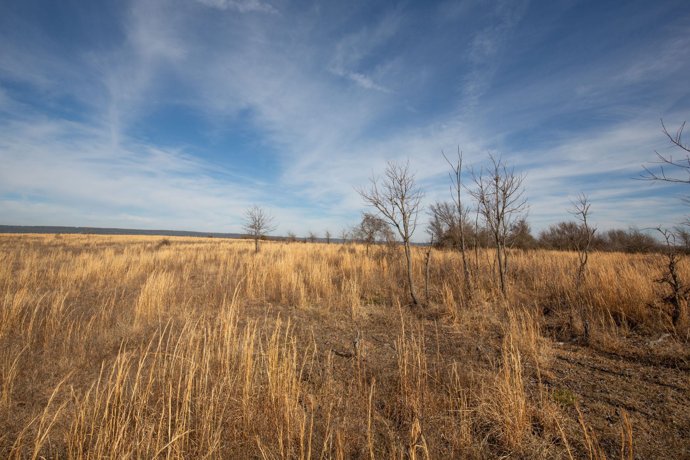 Painted Horse Tract 27 photo 14
