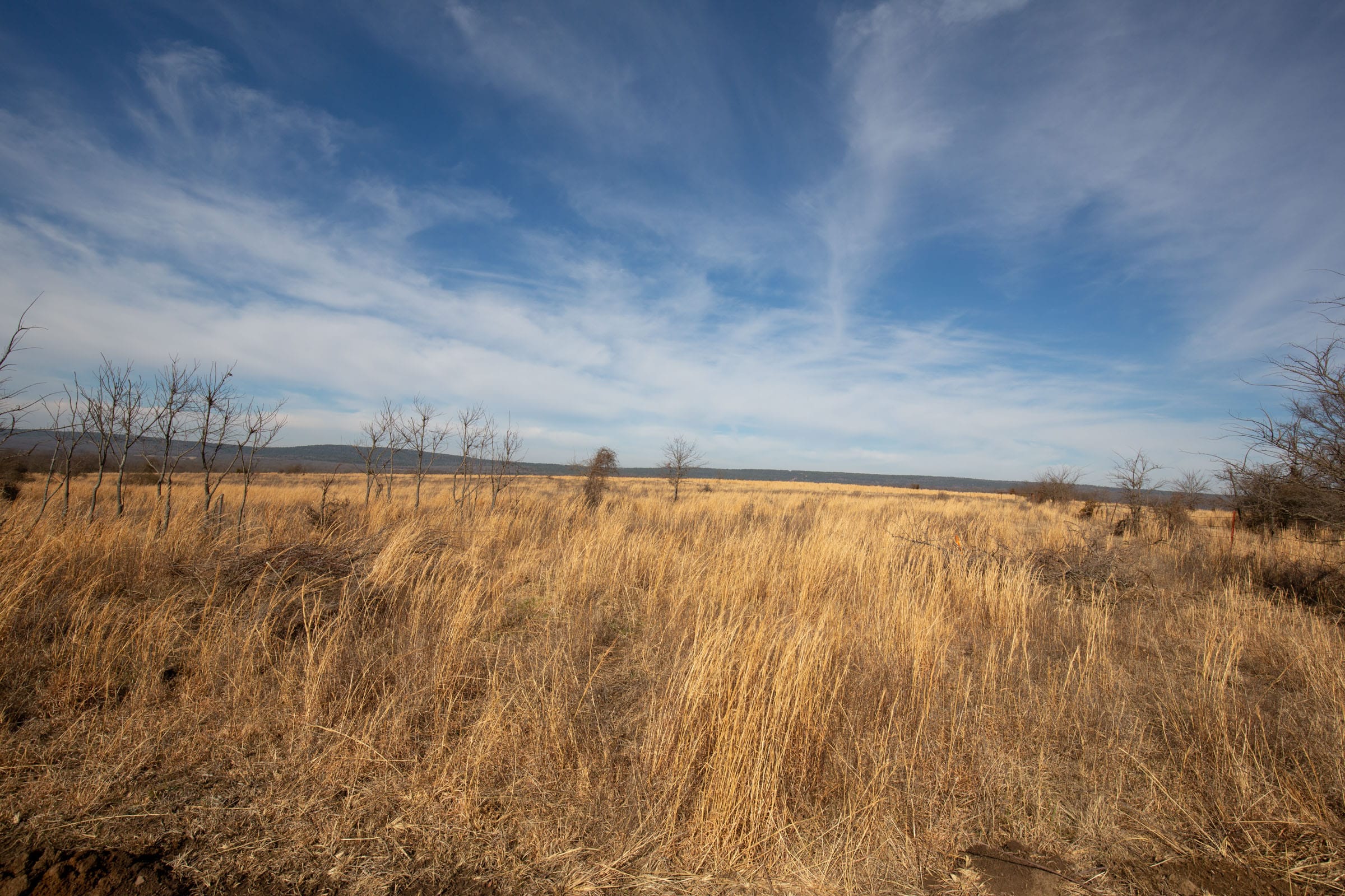 Painted Horse Tract 27 photo 15