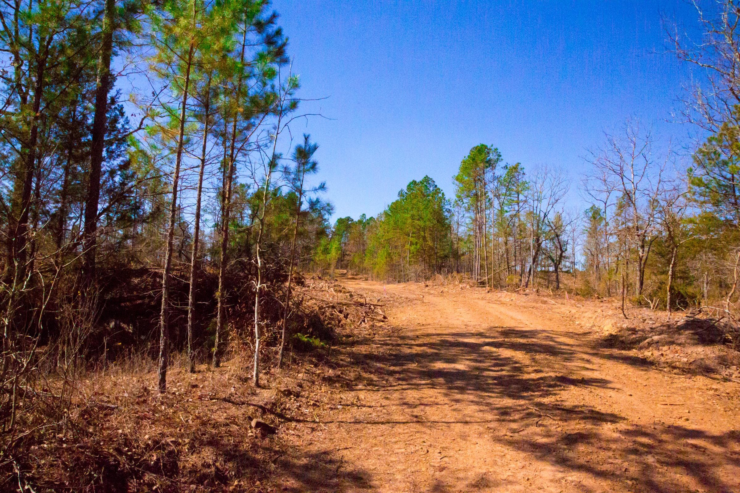 Stone Creek Phase II Tract 129 photo 2