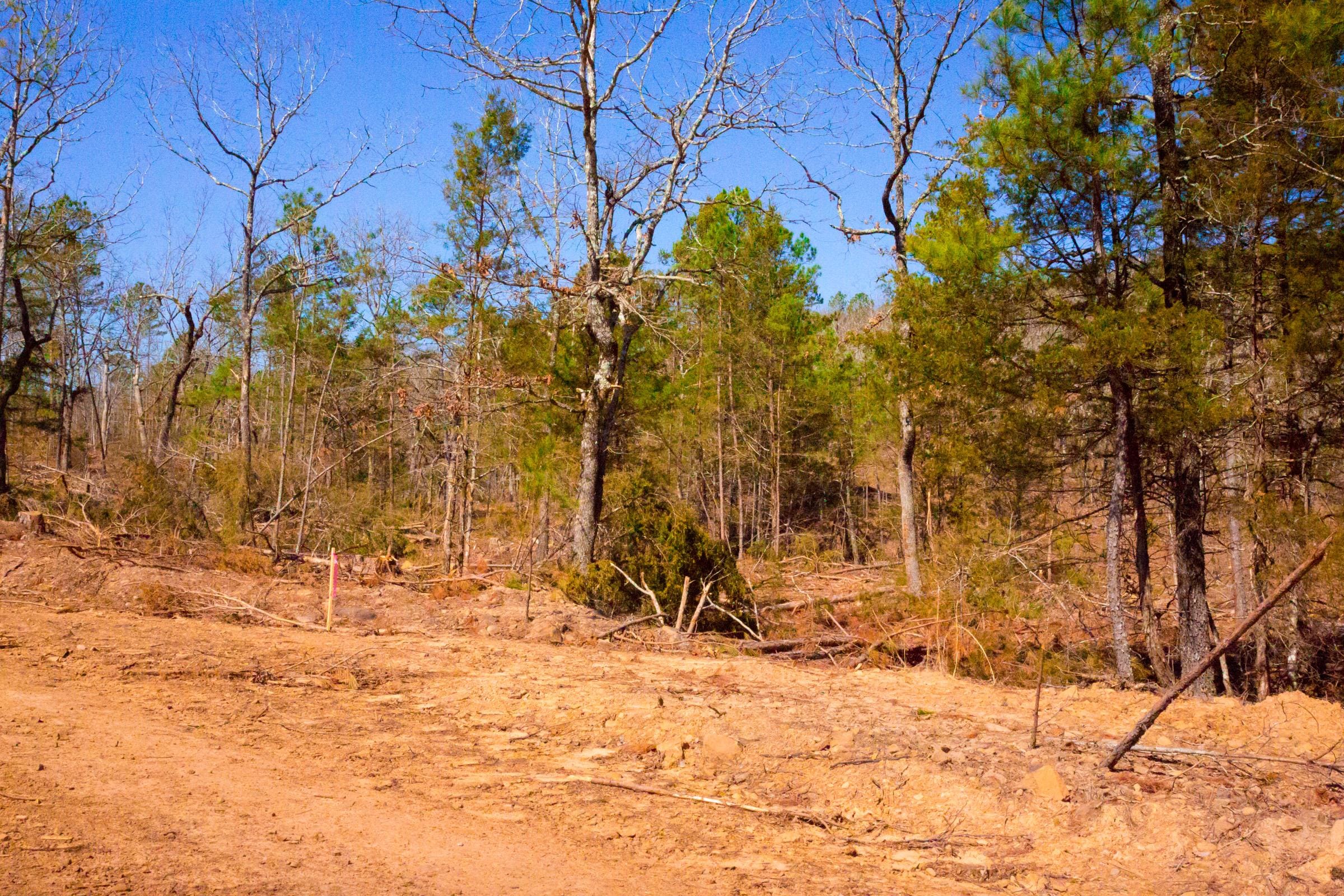Stone Creek Phase II Tract 129 photo 7