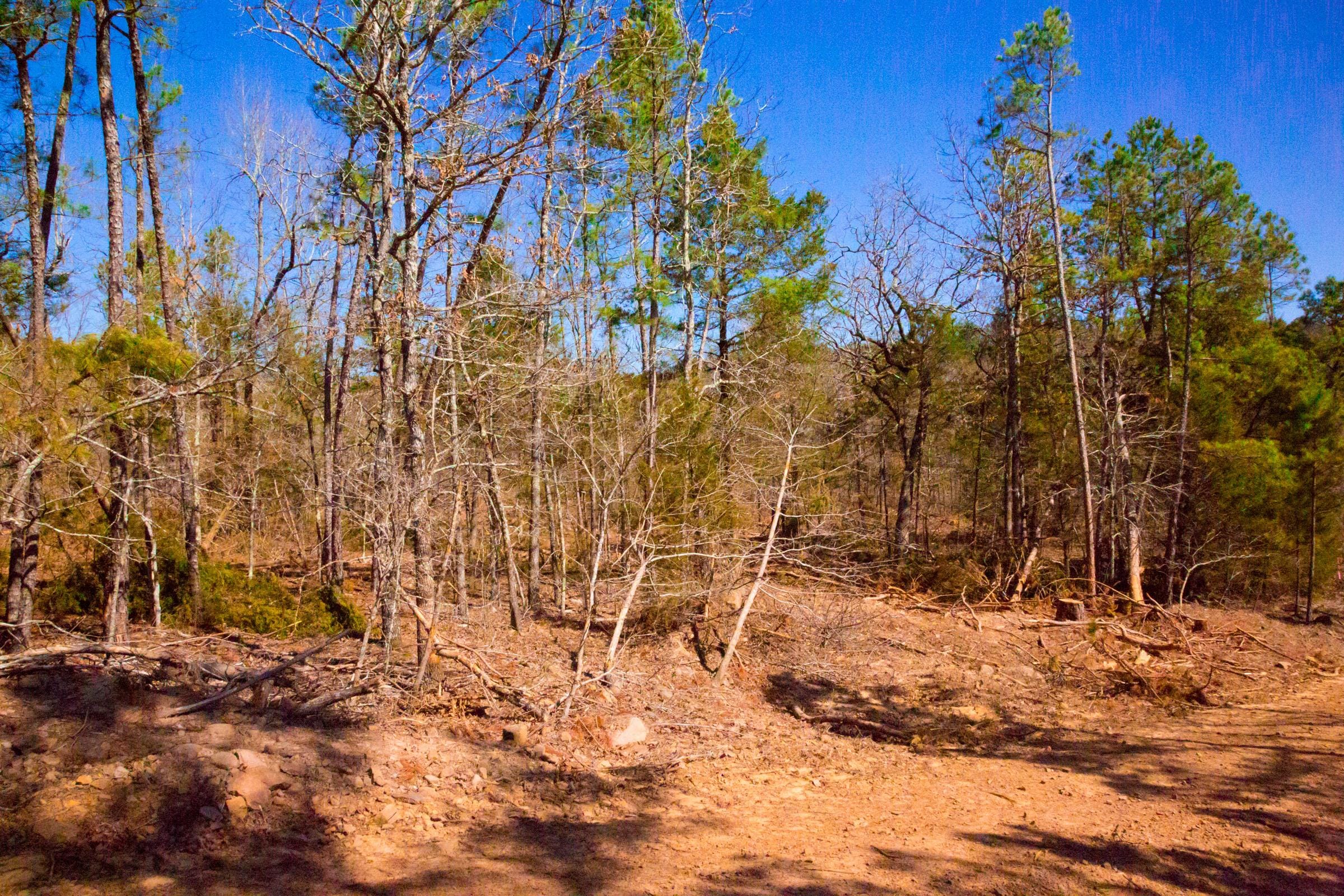 Stone Creek Phase II Tract 129 photo 8