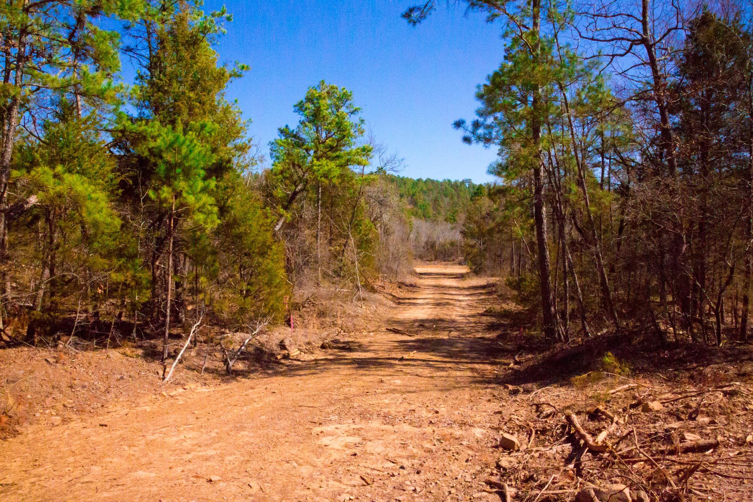 Stone Creek Phase II Tract 129 photo 9