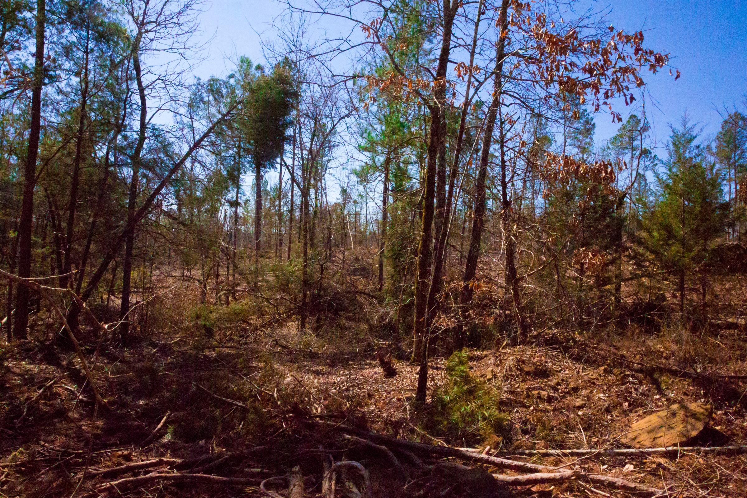 Stone Creek Phase II Tract 129 photo 10