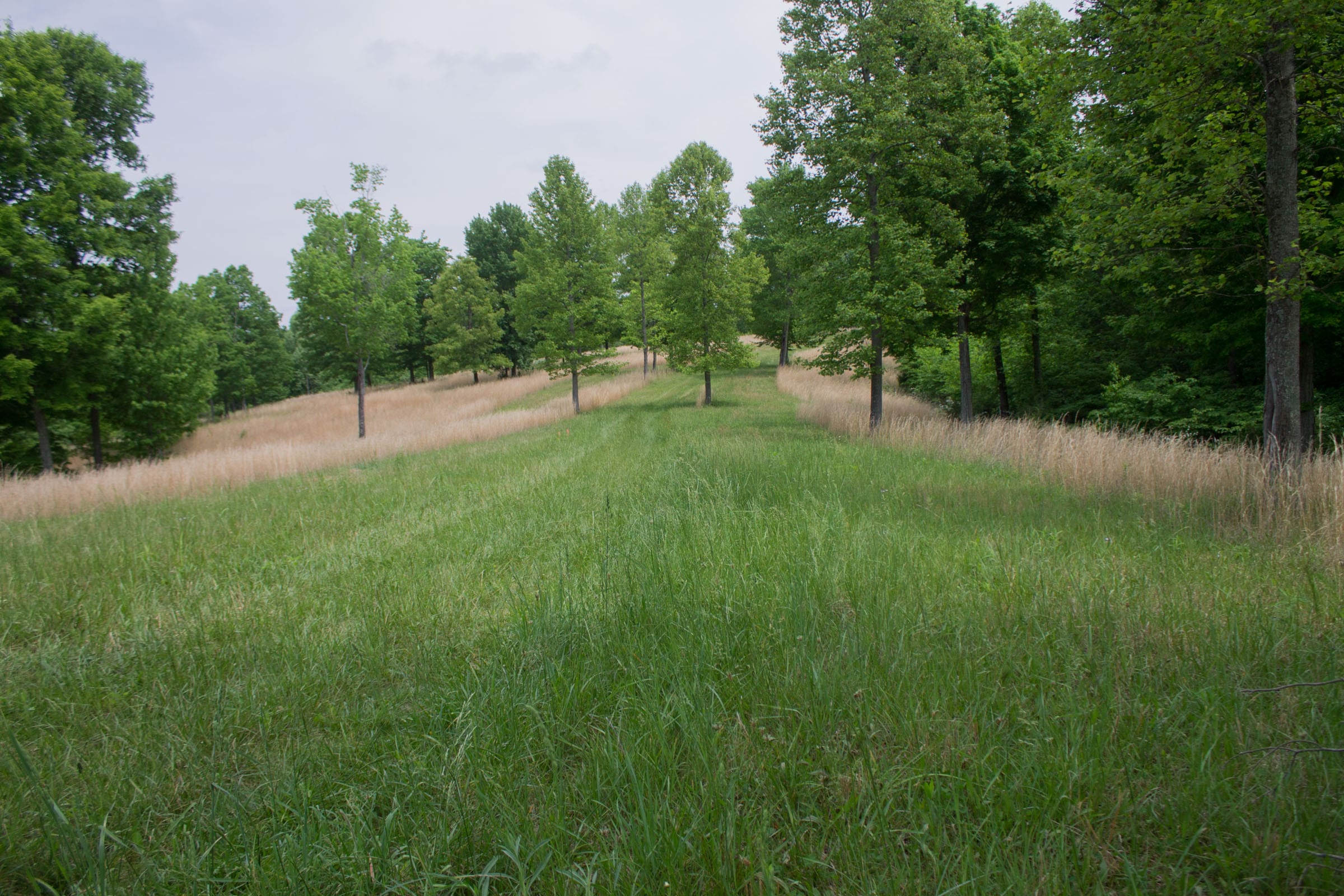 Laurel Ridge Tract 3 photo 1