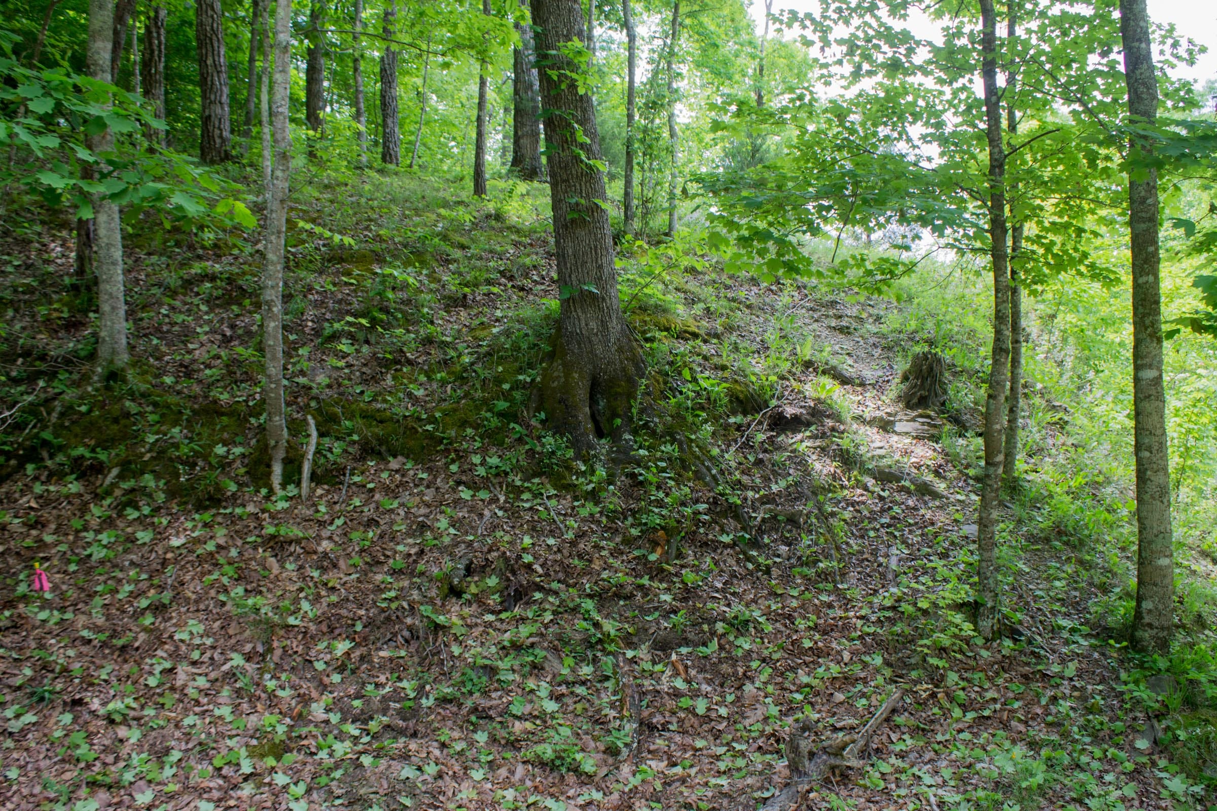 Laurel Ridge Tract 3 photo 9