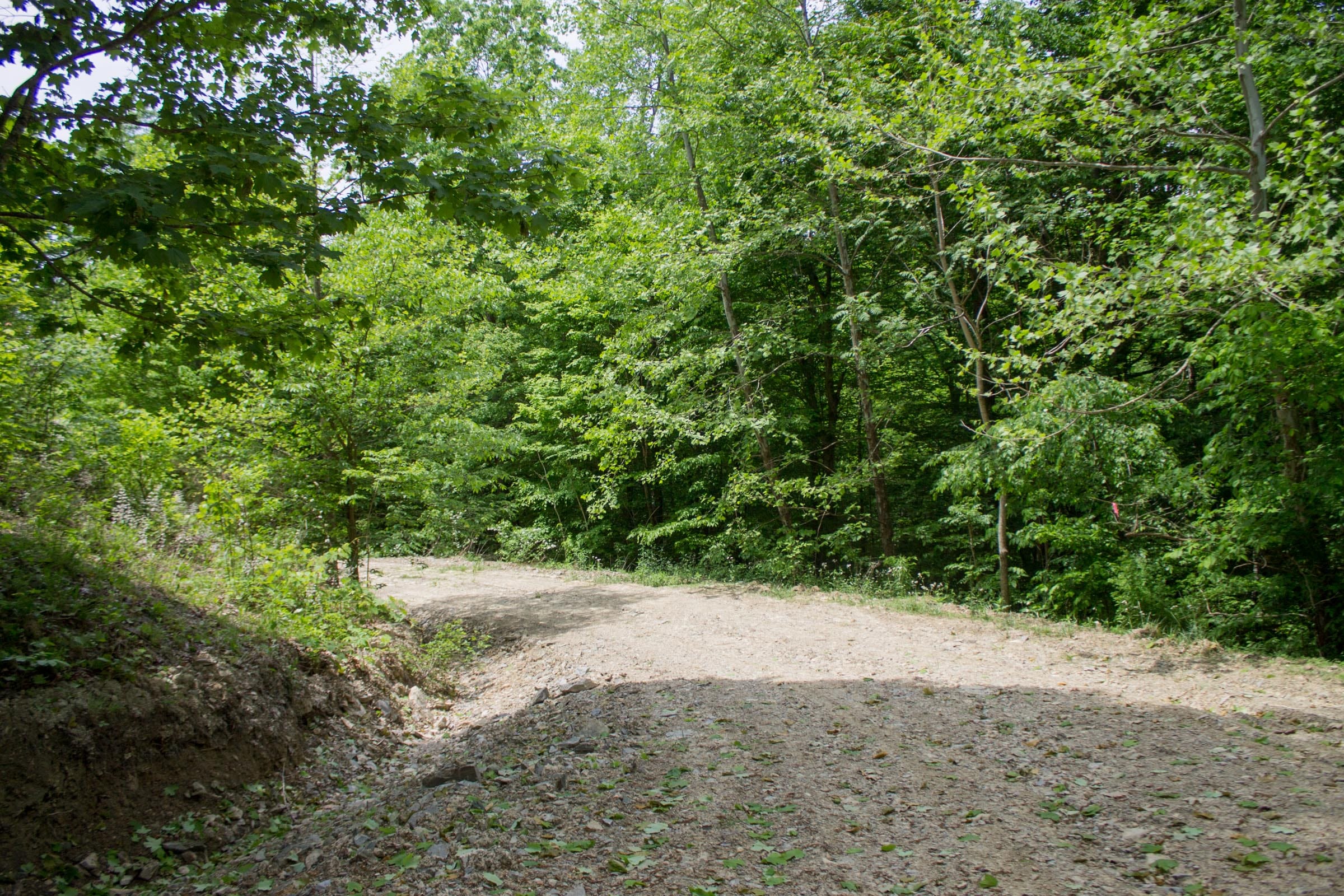 Laurel Ridge Tract 3 photo 10