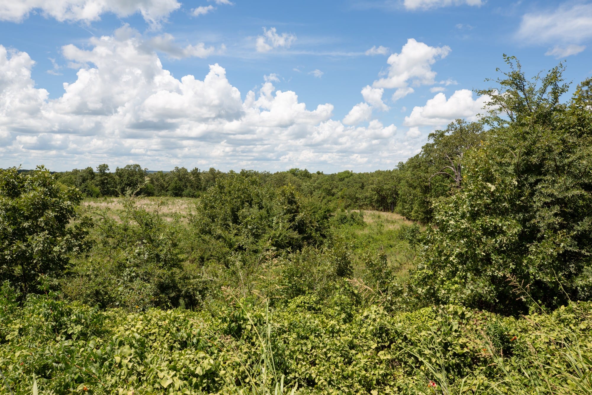 Paradise Valley Tract 27 photo 7