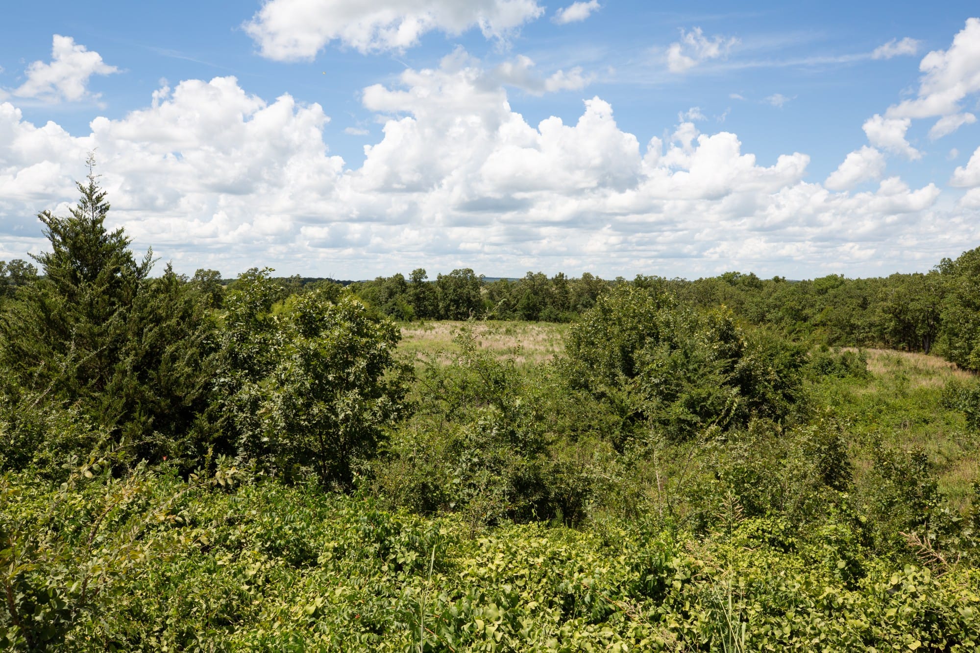 Paradise Valley Tract 27 photo 9