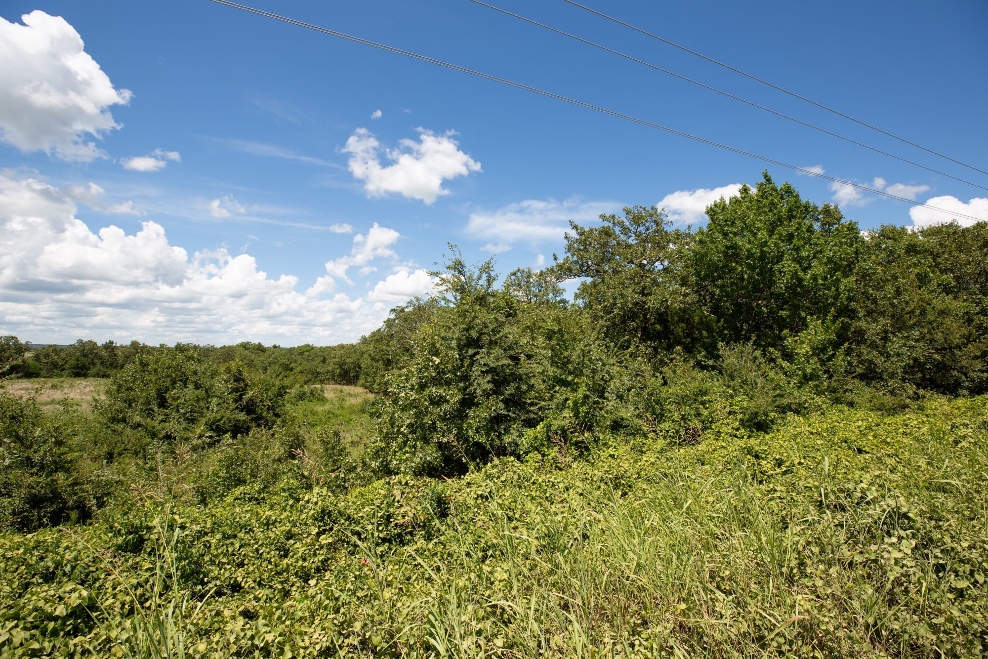 Paradise Valley Tract 27 photo 11