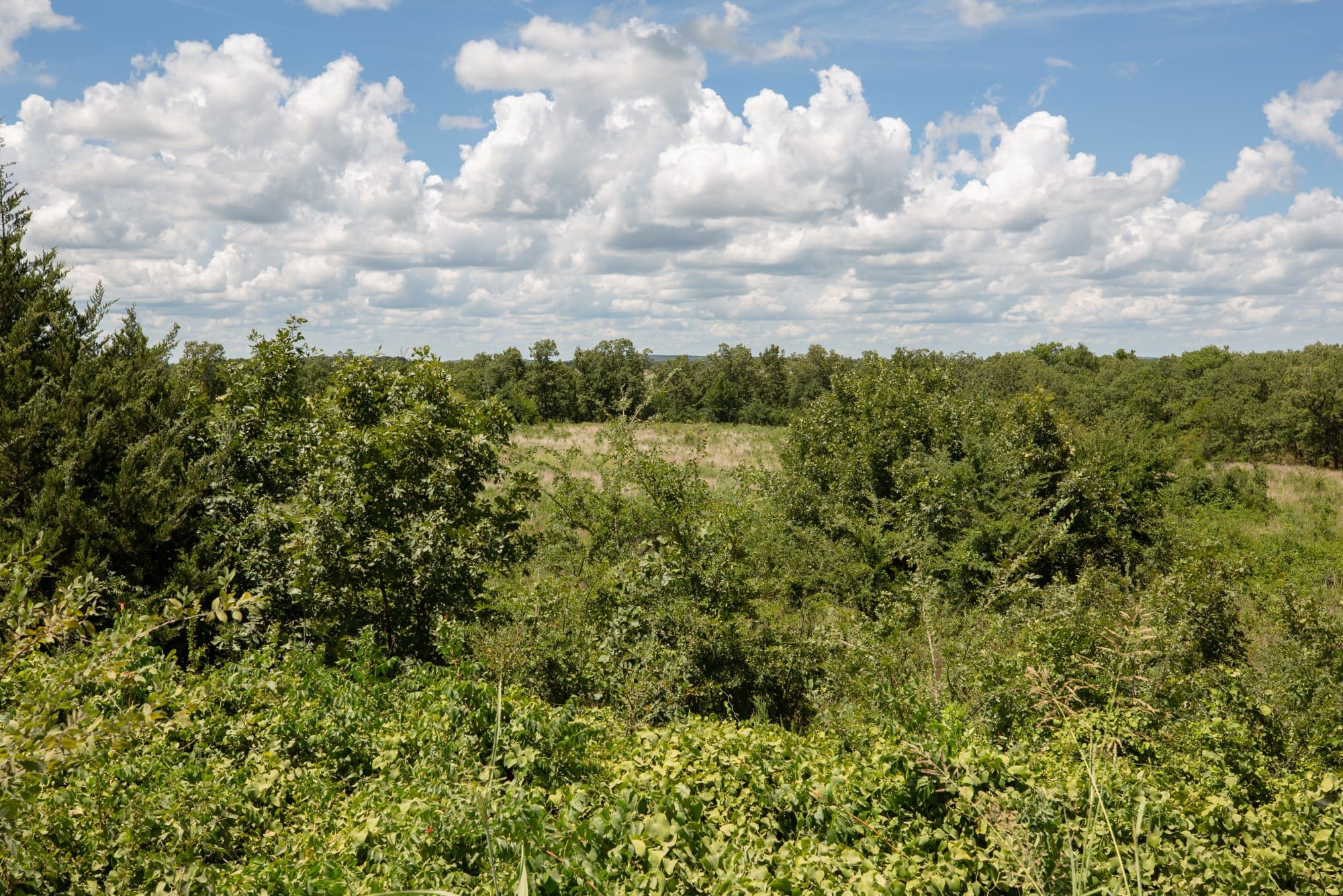 Paradise Valley Tract 27 photo 12