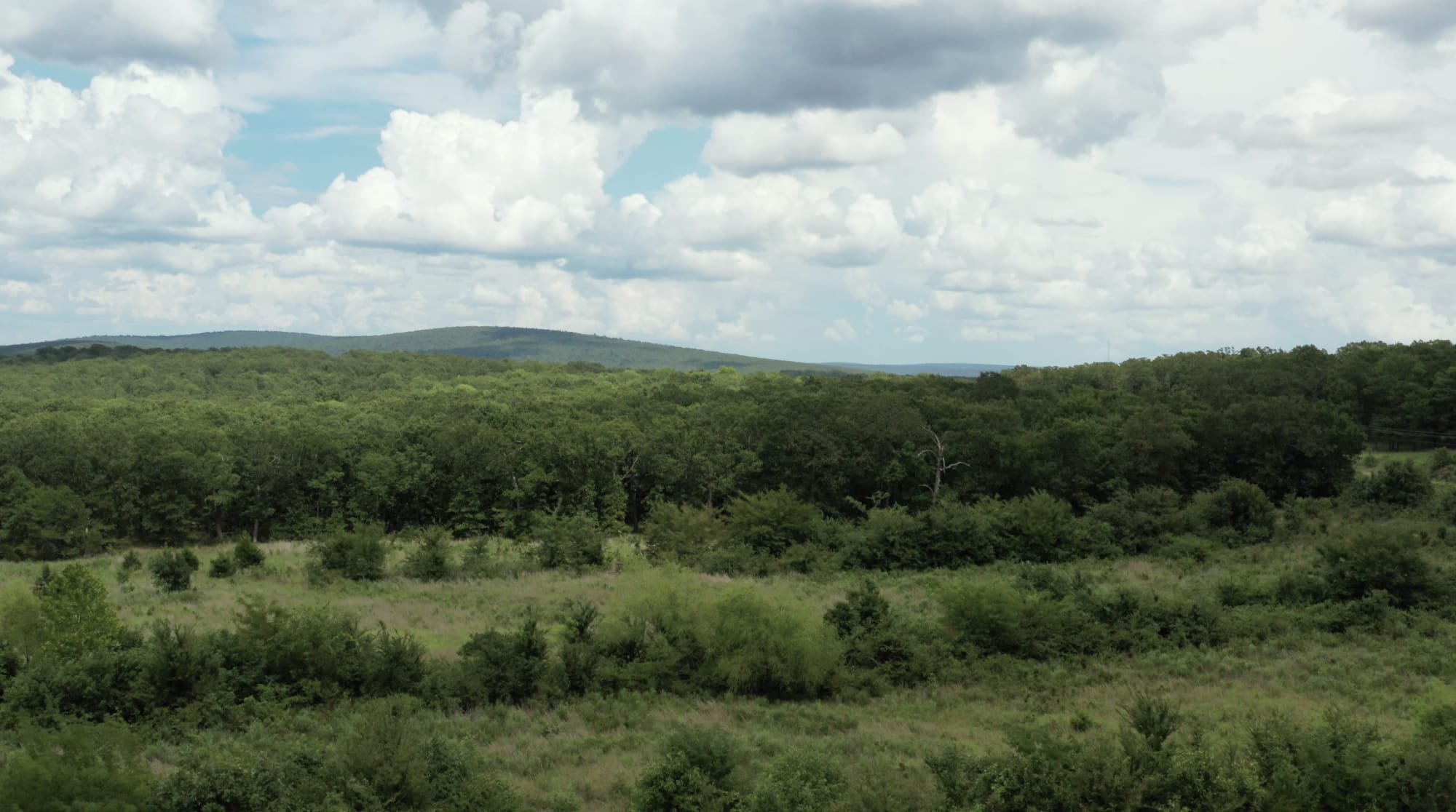 Paradise Valley Tract 27 photo 10