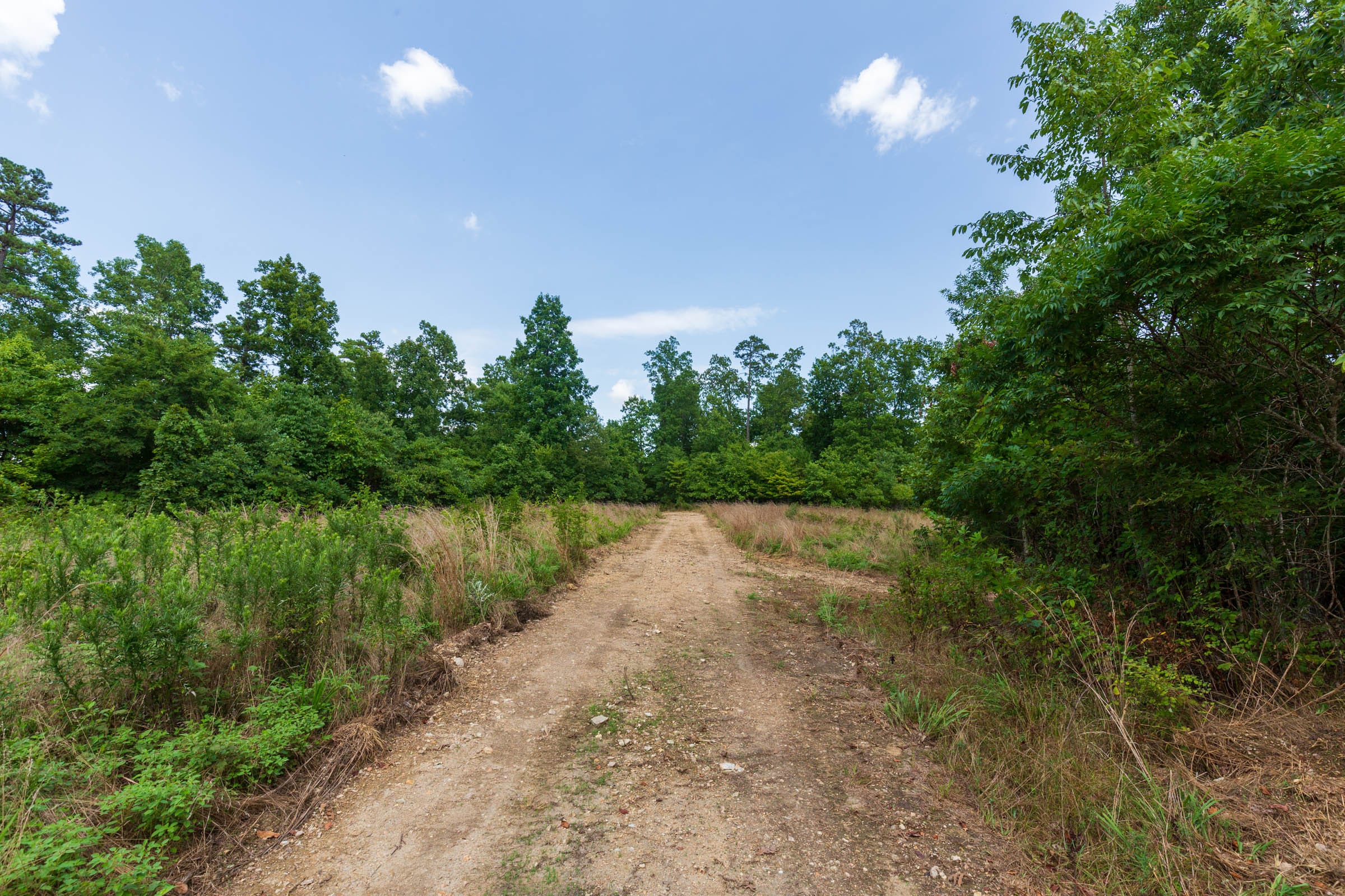 Cypress Ridge Tract 16 photo 6