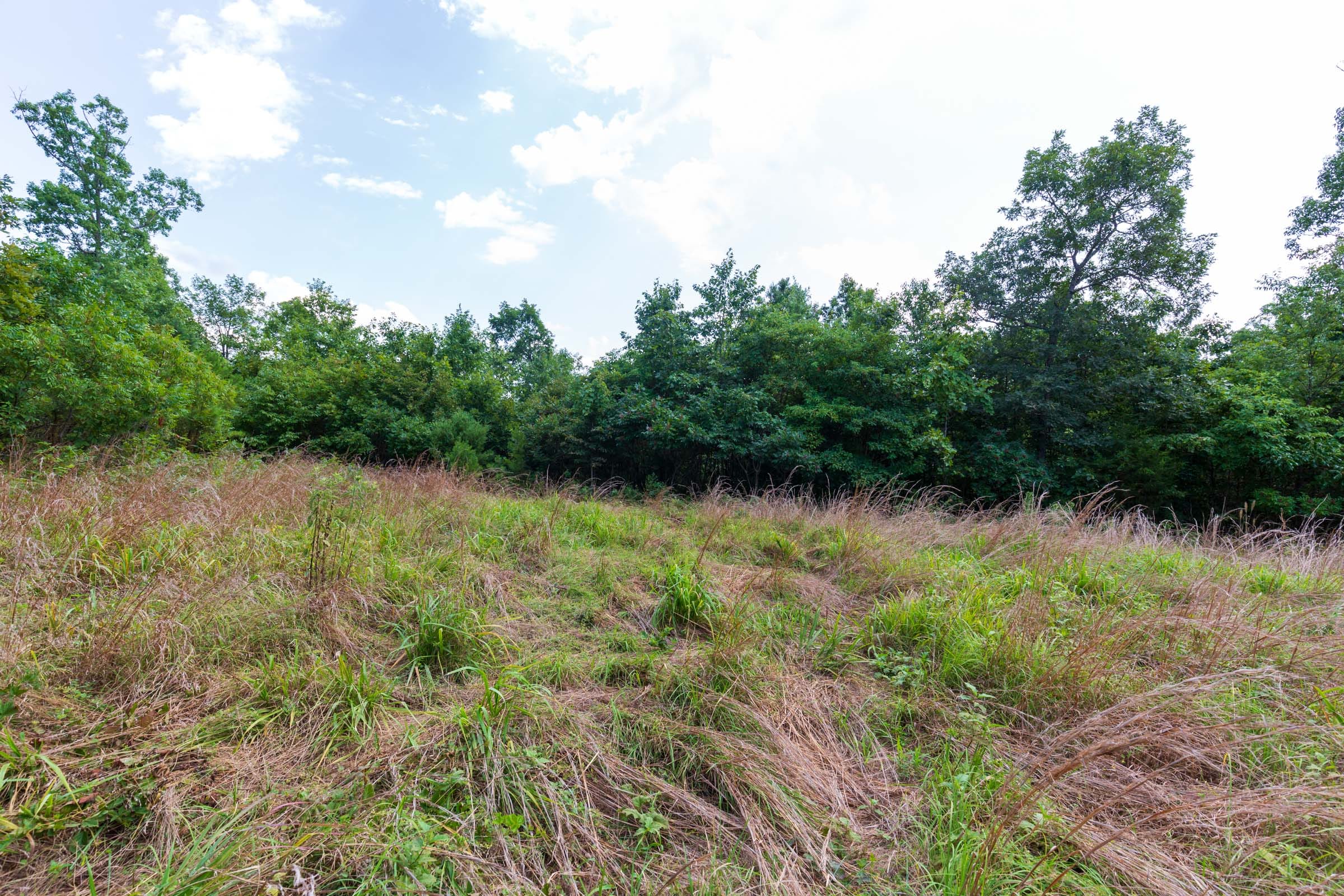 Cypress Ridge Tract 16 photo 2