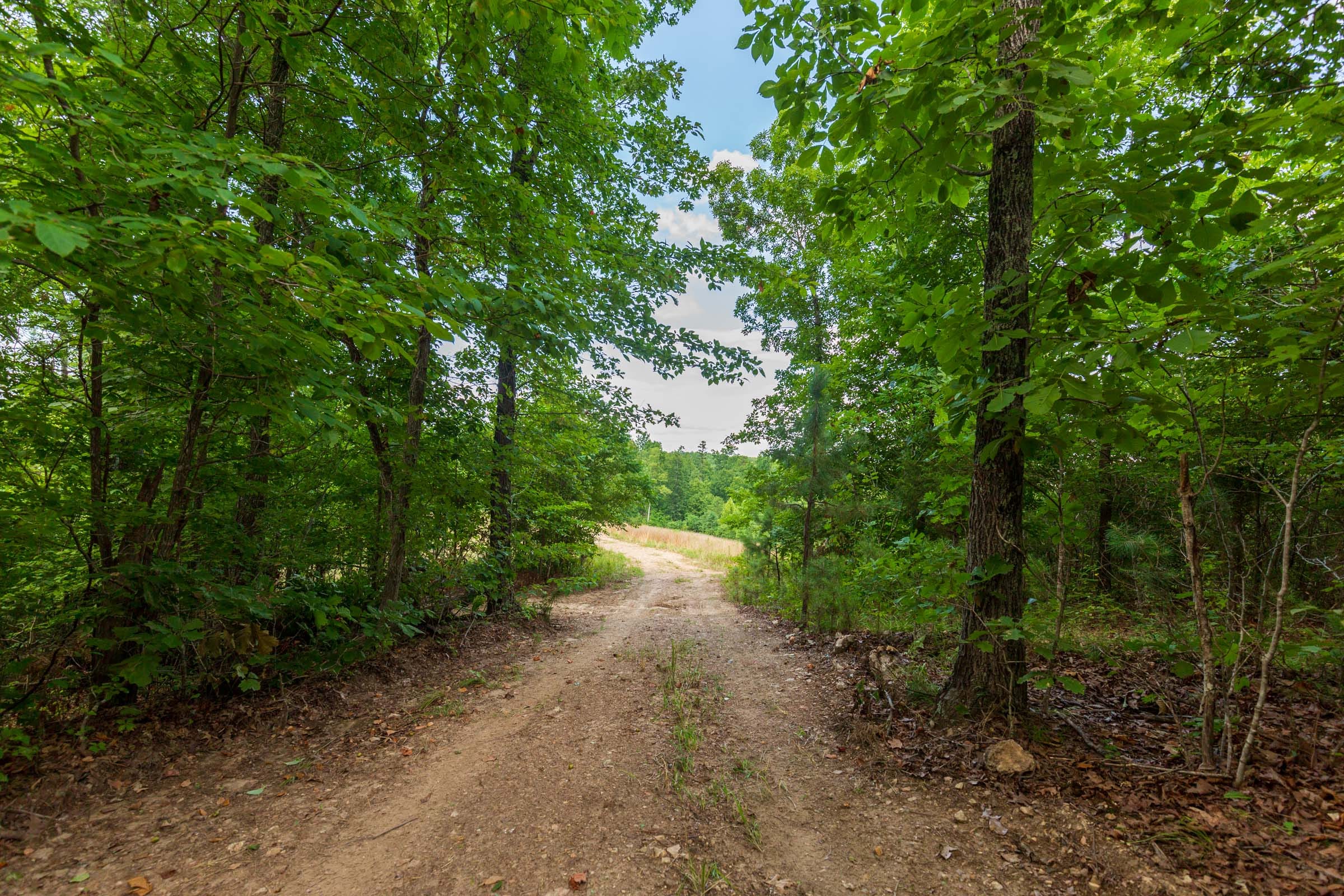 Cypress Ridge Tract 16 photo 1
