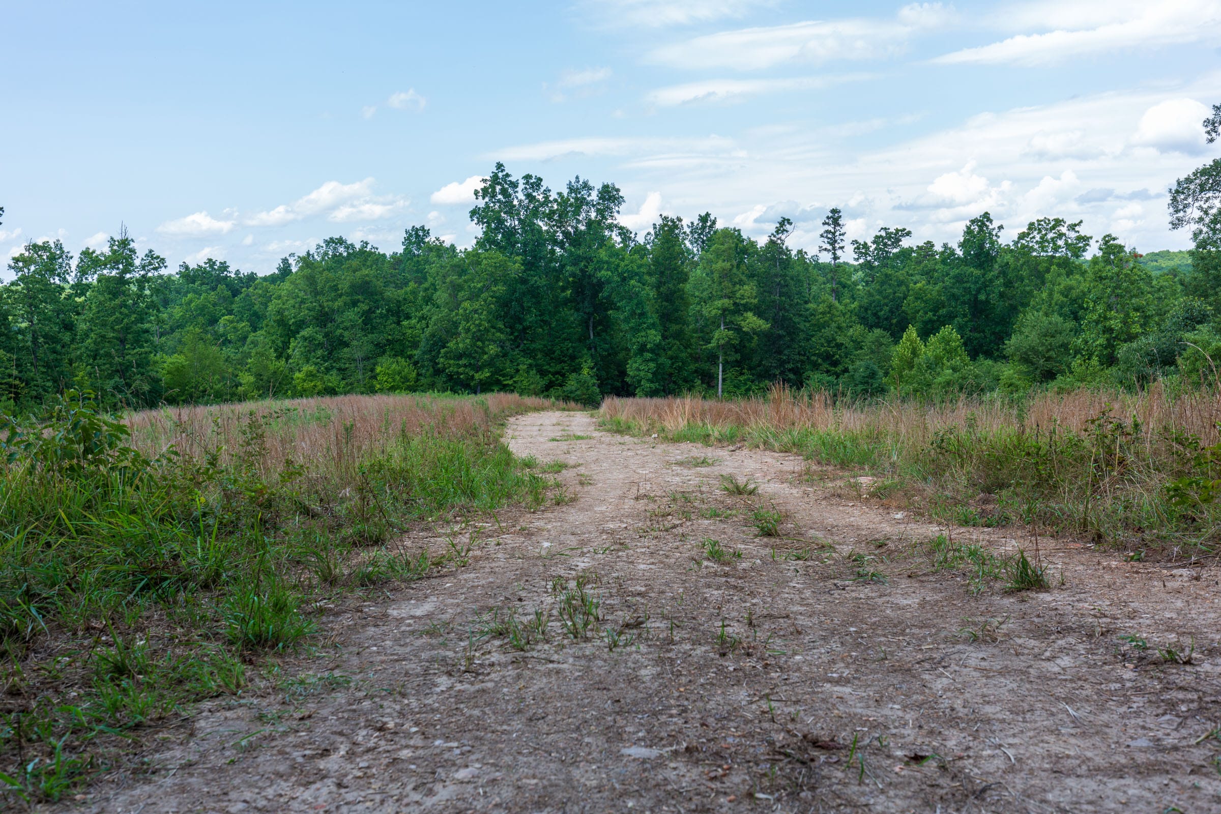 Cypress Ridge Tract 16 photo 12