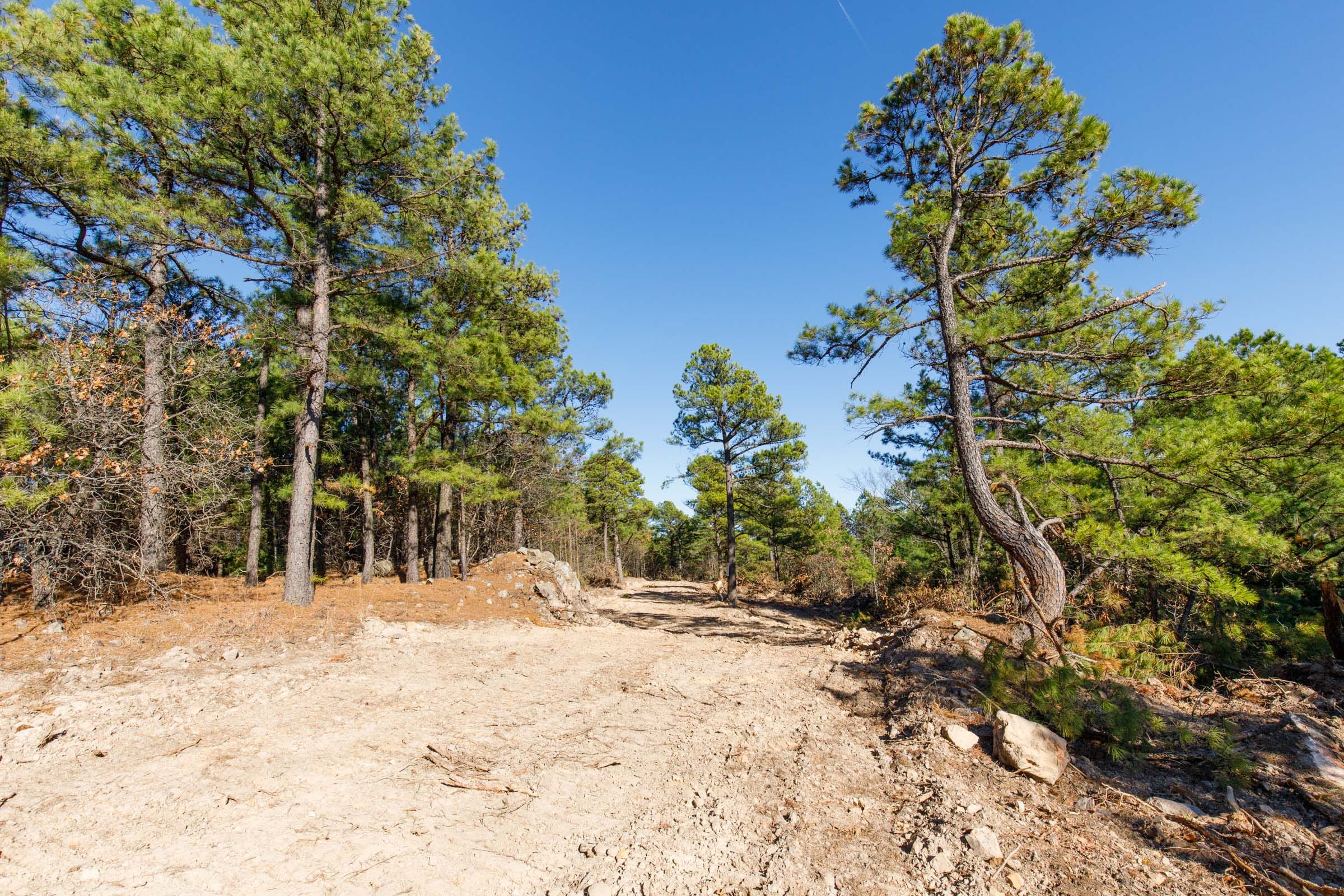 Stone Bridge Phase II Tract 92 photo 1