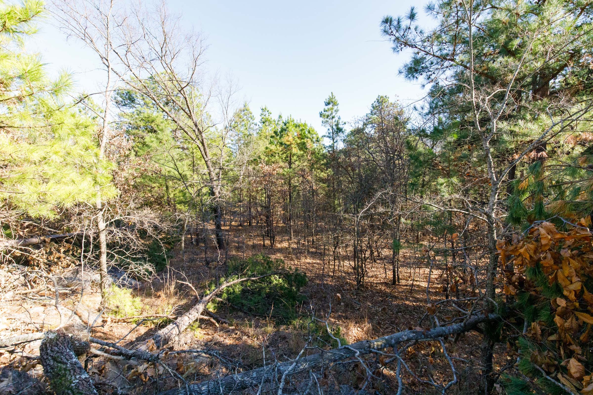 Stone Bridge Phase II Tract 92 photo 2
